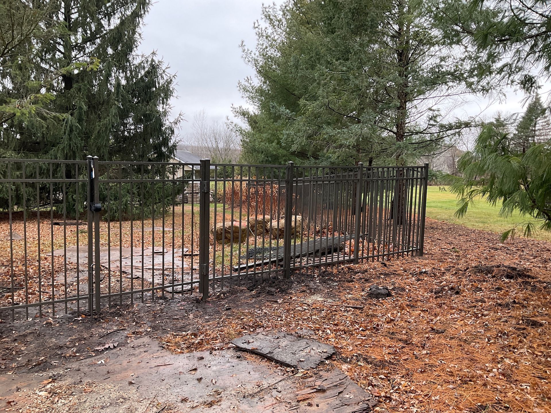 Dark metal fence with gate, set in a yard covered in leaves, trees in the background.