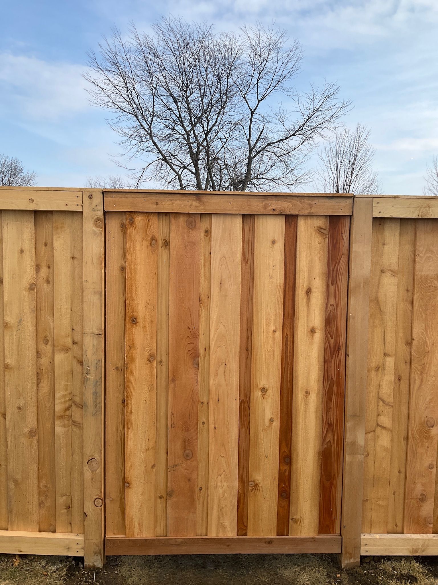 Wooden fence and gate against a blue sky, with a tree visible above.
