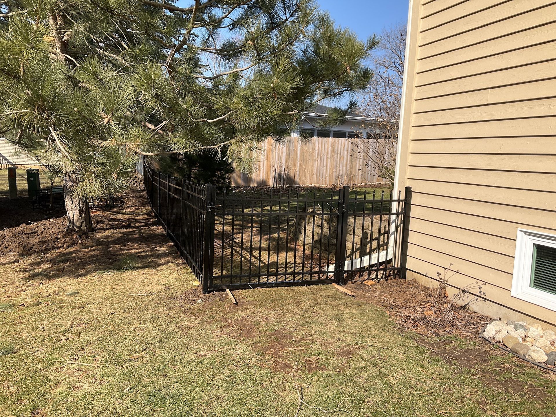 Black metal fence around a tree and next to a house with beige siding, on a grassy lawn.