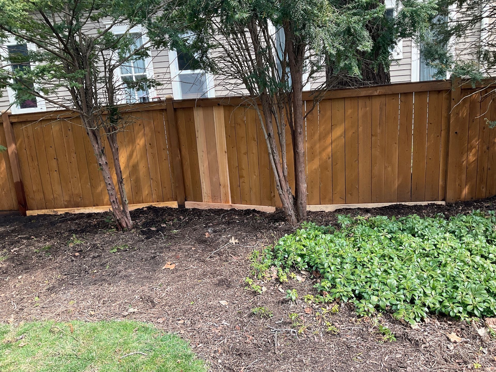 Wooden fence with trees, ground cover, and green grass.