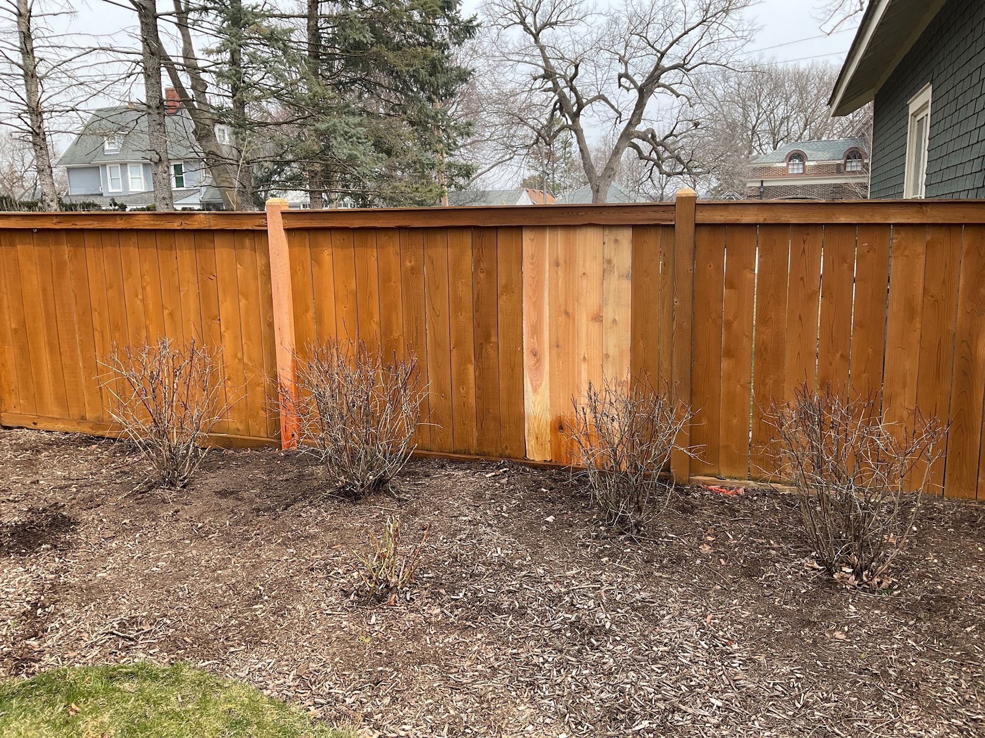 Wooden fence in a yard with bushes, mulch, and a house in the background.