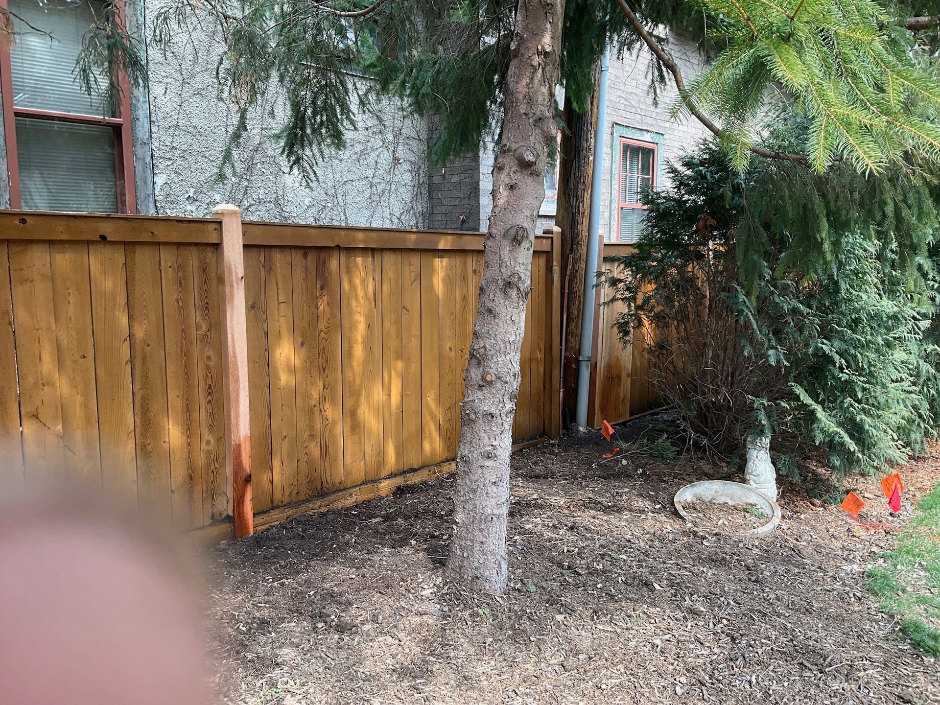 Wooden fence next to a tree, with a cat resting in the mulch. Brown fence, green trees, and a light-colored cat.