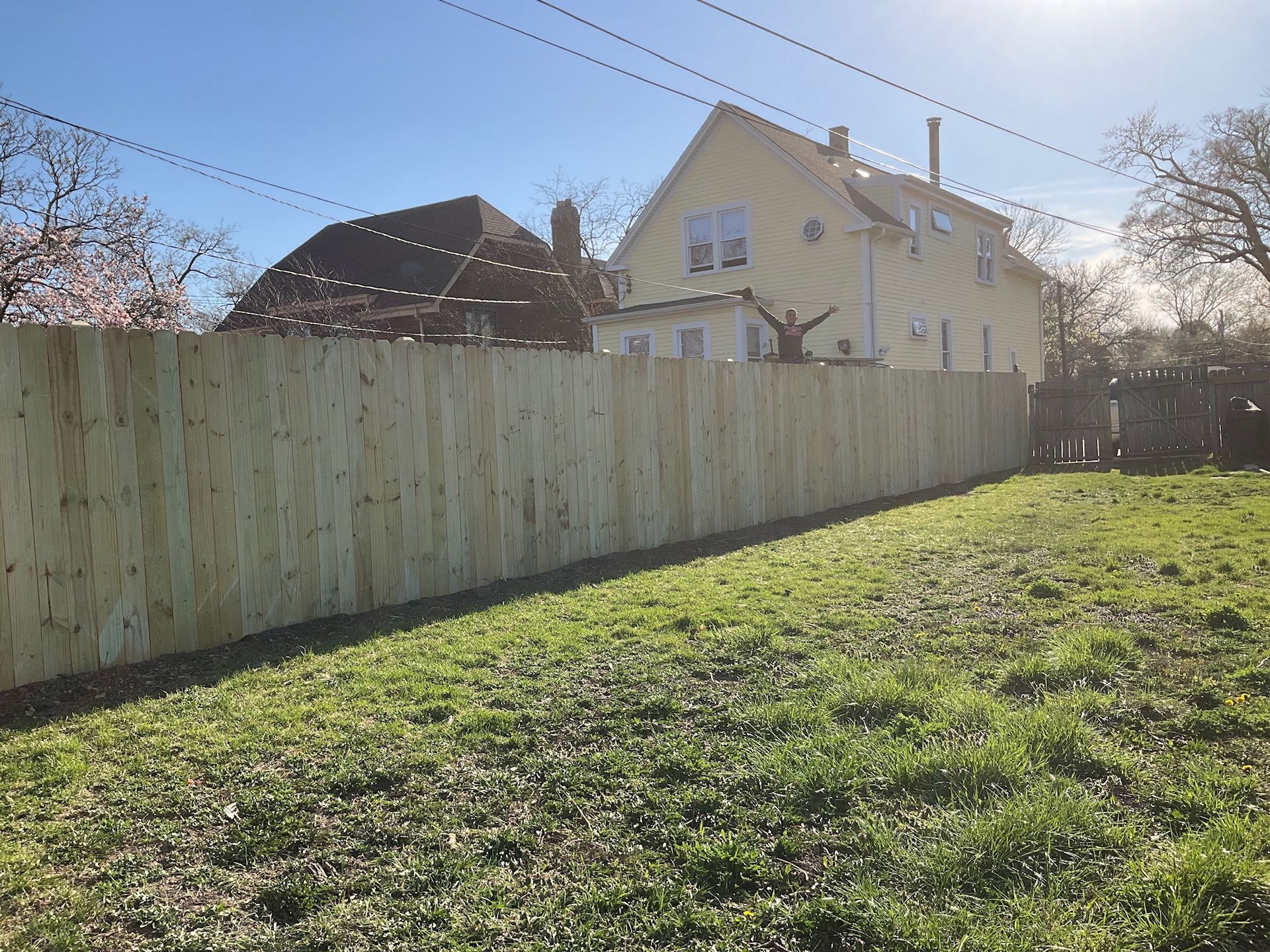 A wooden fence encloses a grassy backyard, with houses visible in the background under a sunny sky.