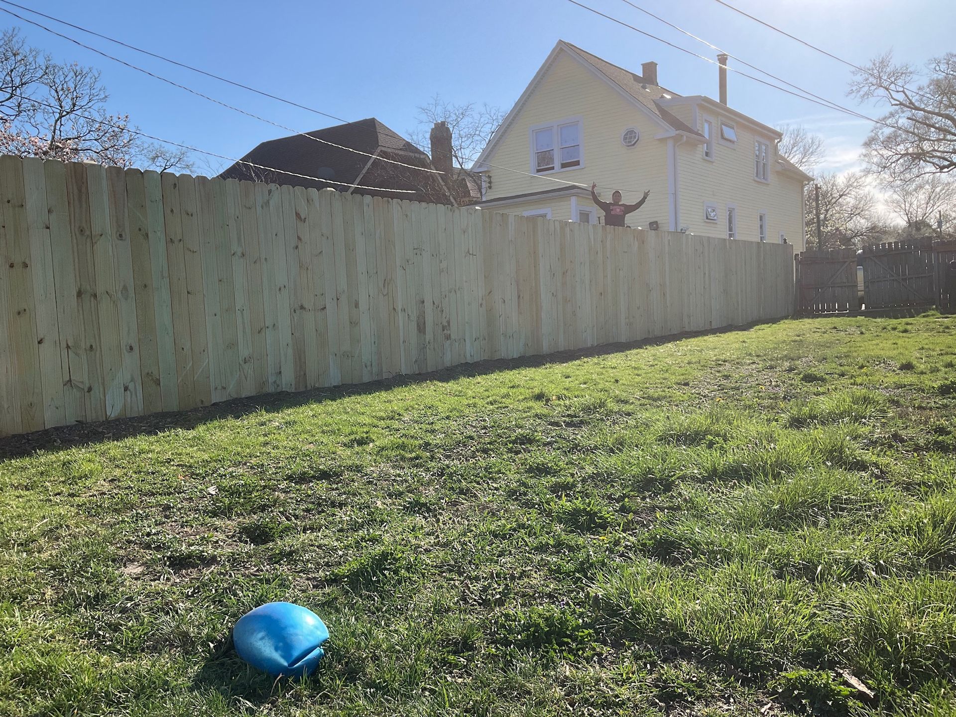 Backyard with wooden fence, grass, and a blue ball. Person visible over the fence with arms raised. Yellow house in background.