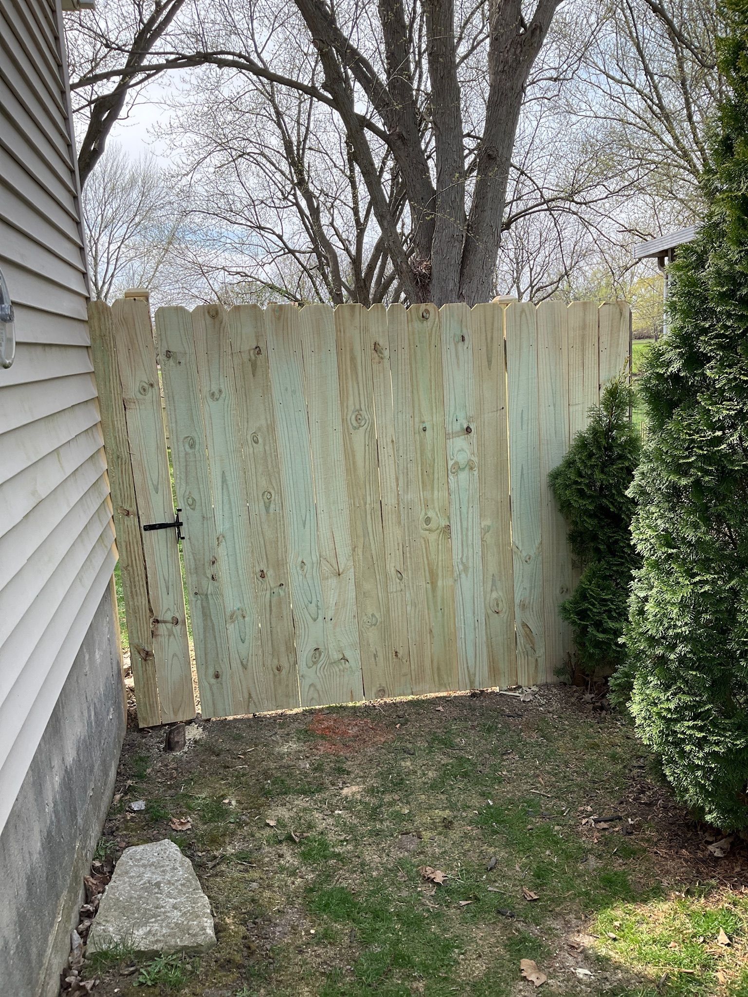 Wooden fence with slight lean, next to a house and evergreen bush, in grassy yard.
