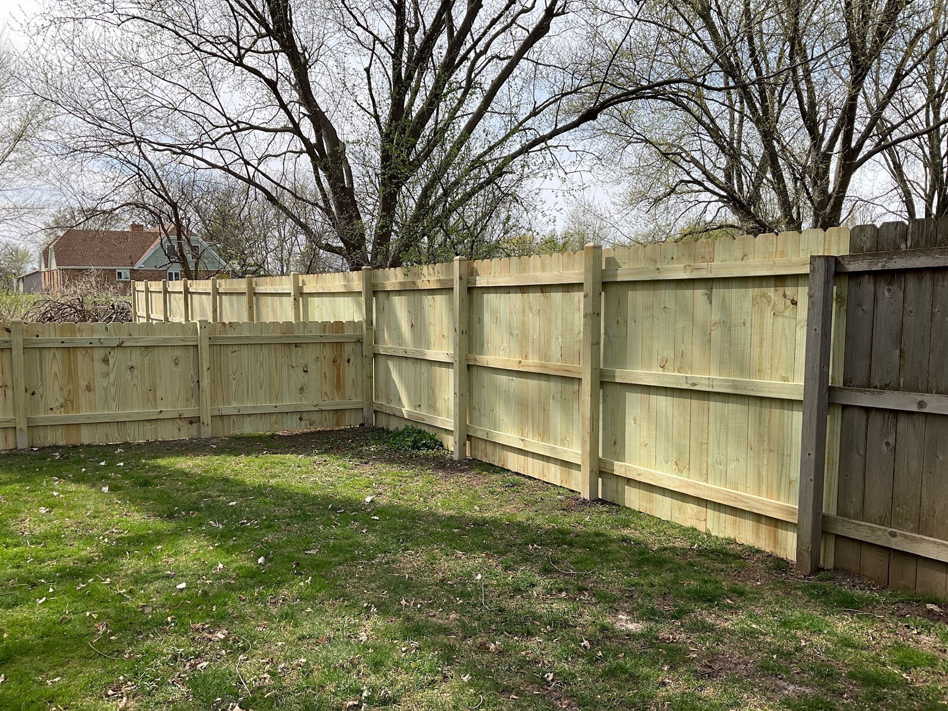 Wooden fence in grassy backyard, trees in background, sunny day.
