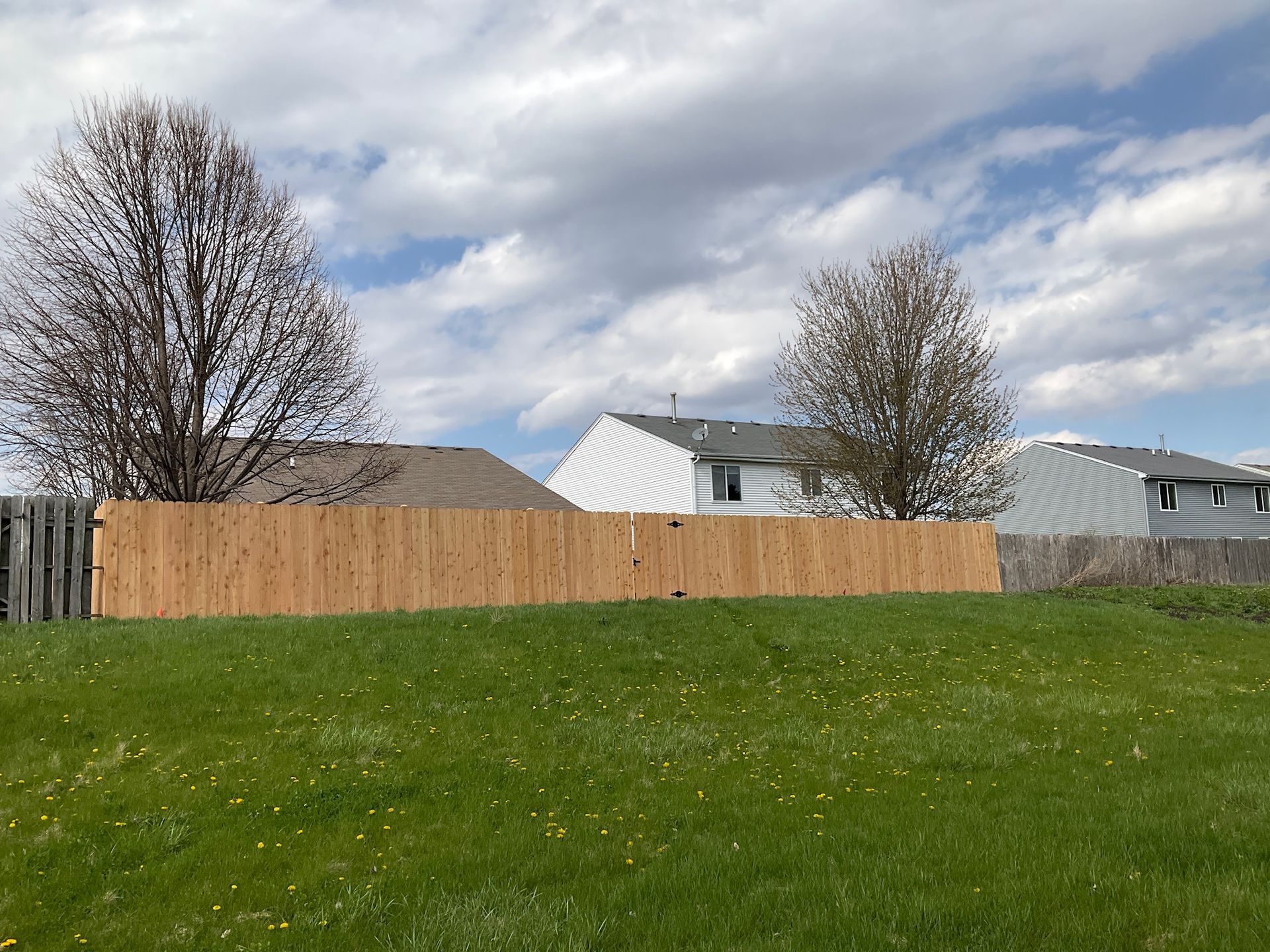 Green lawn with a brown wooden fence, houses in background, cloudy sky.