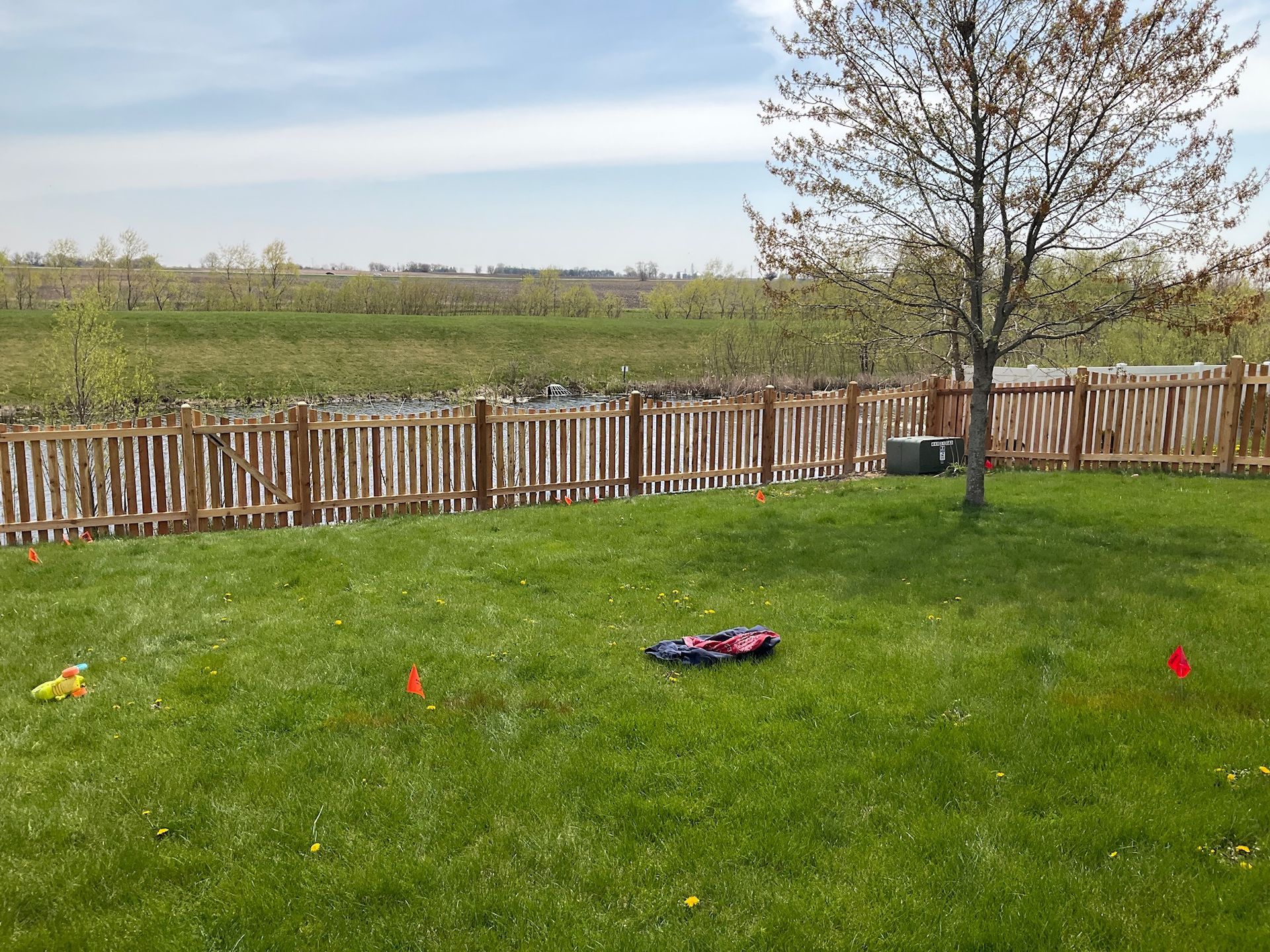 Lush green backyard with a wooden fence. A tree and a few toy cars are in the yard.