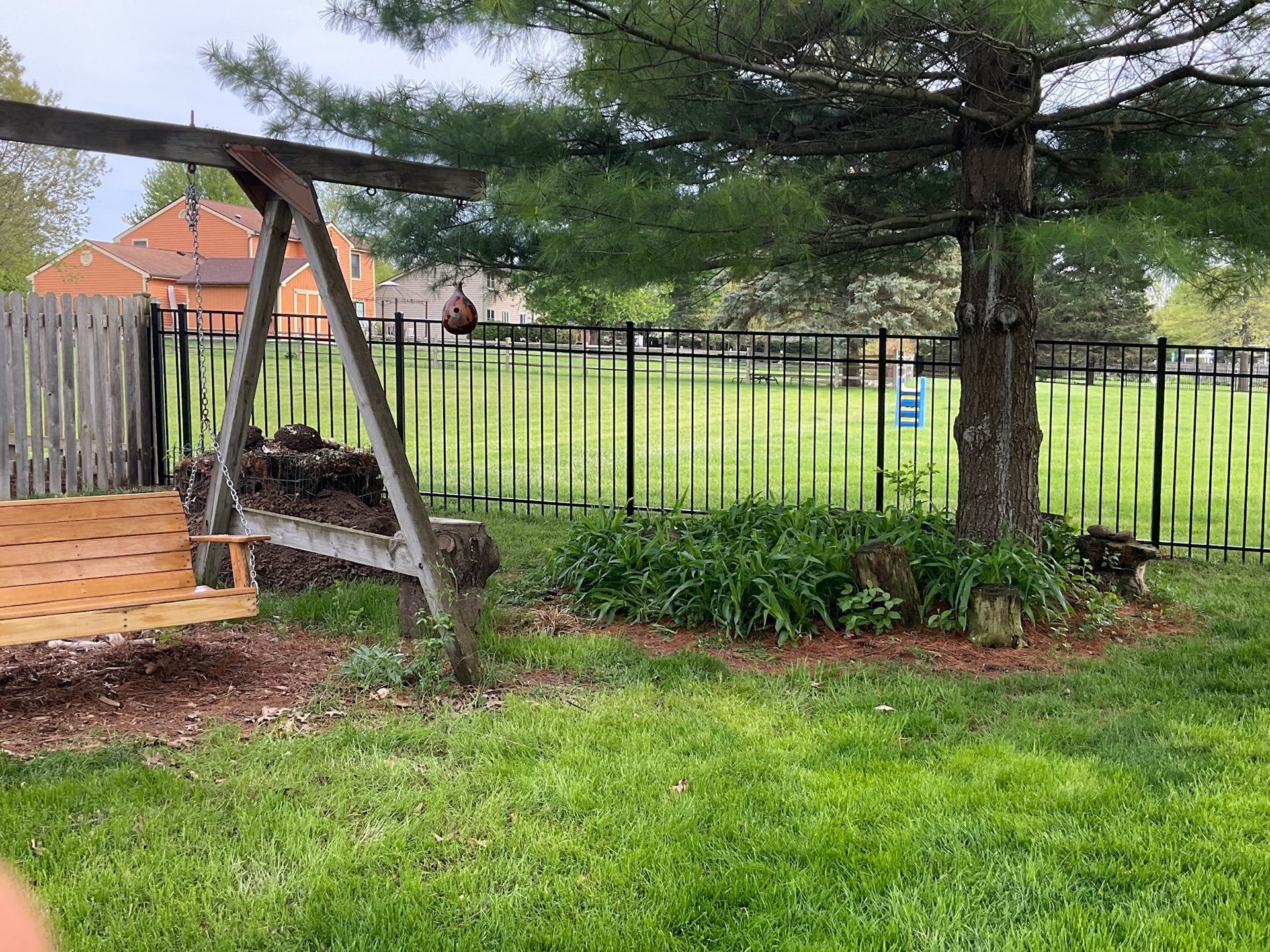 Backyard with swing set, green grass, black fence, and trees.