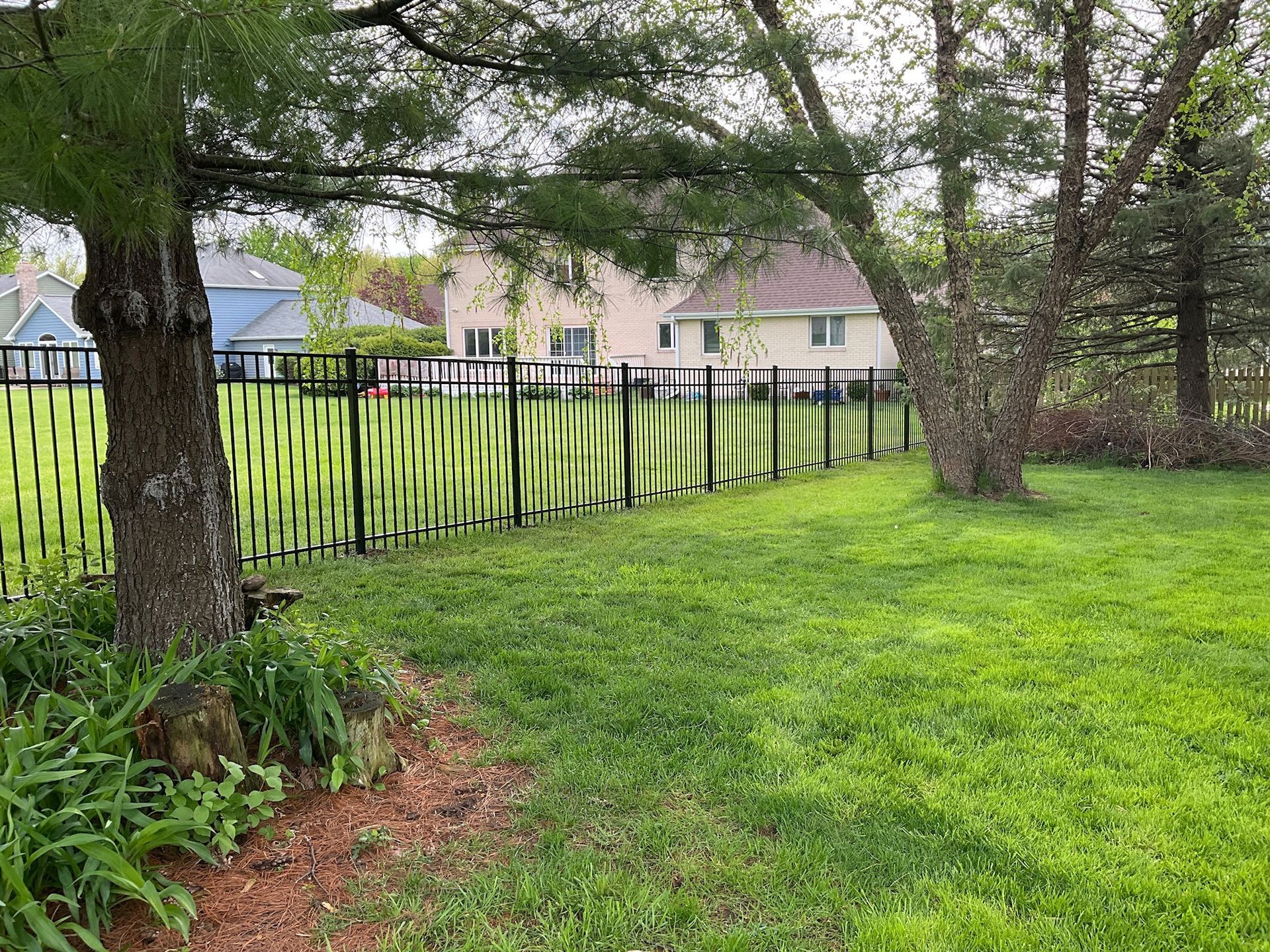 Black fence in a grassy yard with trees, houses in the background.
