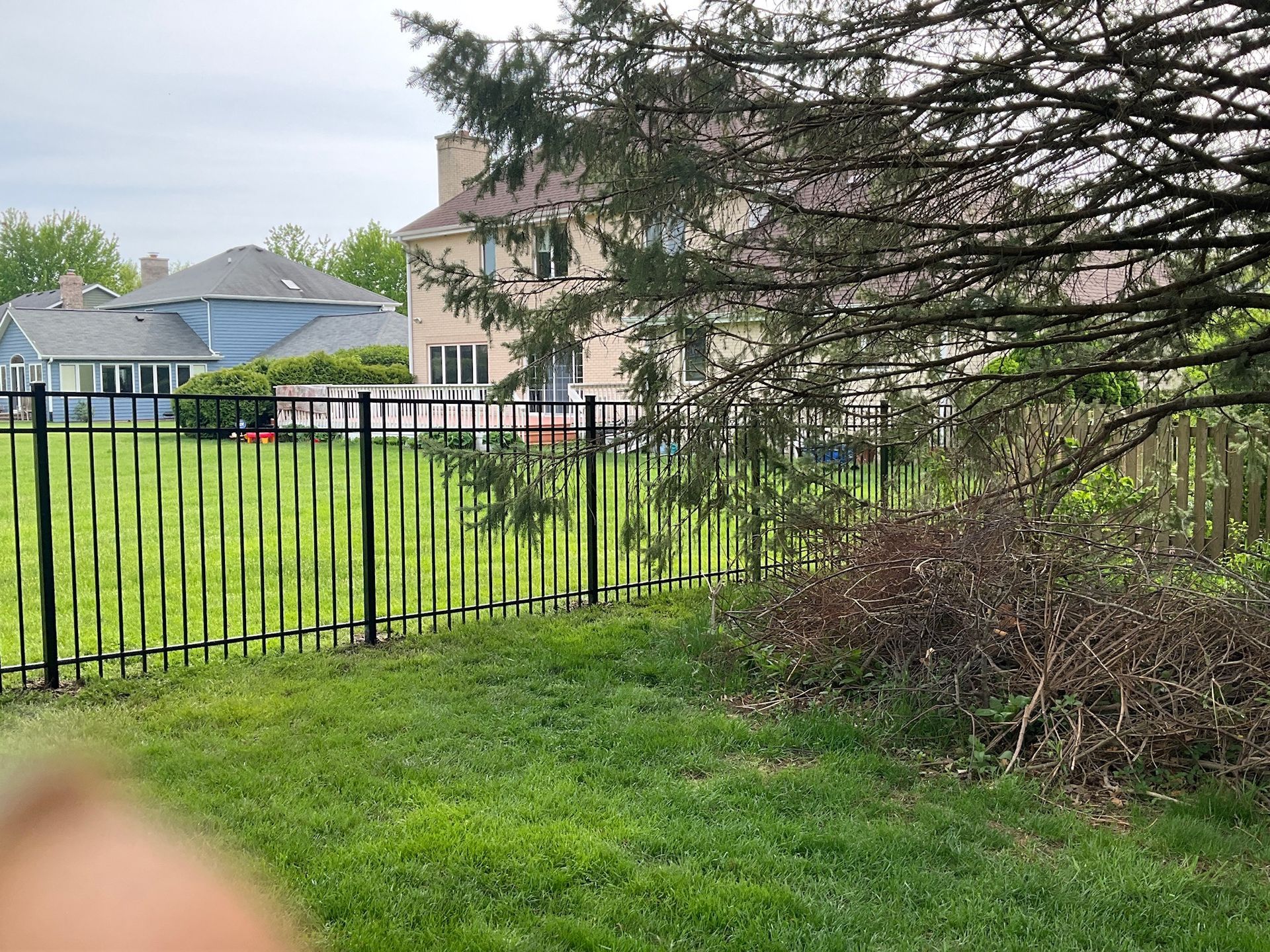 Black metal fence enclosing a grassy yard. Houses in the background, a large tree on the right. Overcast sky.