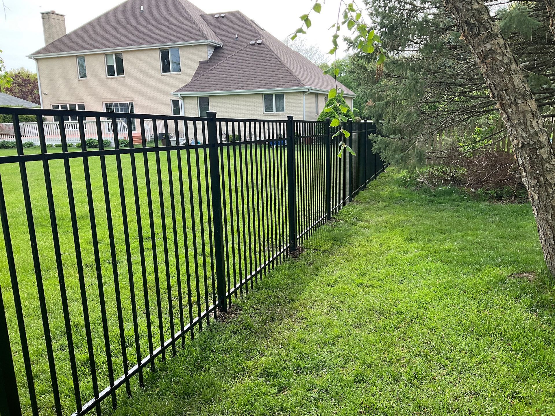 Black metal fence along a grassy backyard, adjacent to a large house with a brown roof.