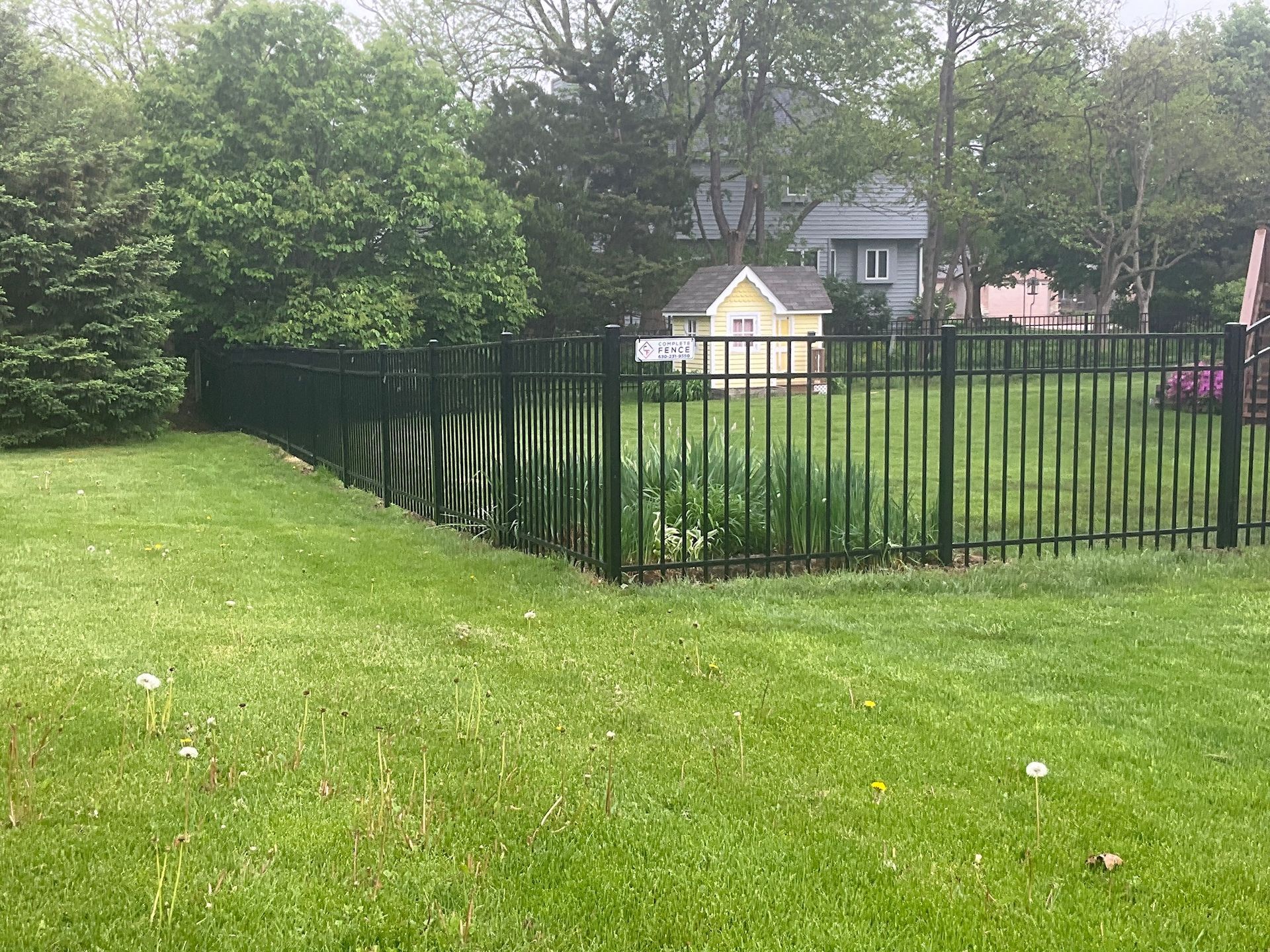 Green fenced yard with a small yellow house visible beyond the fence, surrounded by trees and grass.