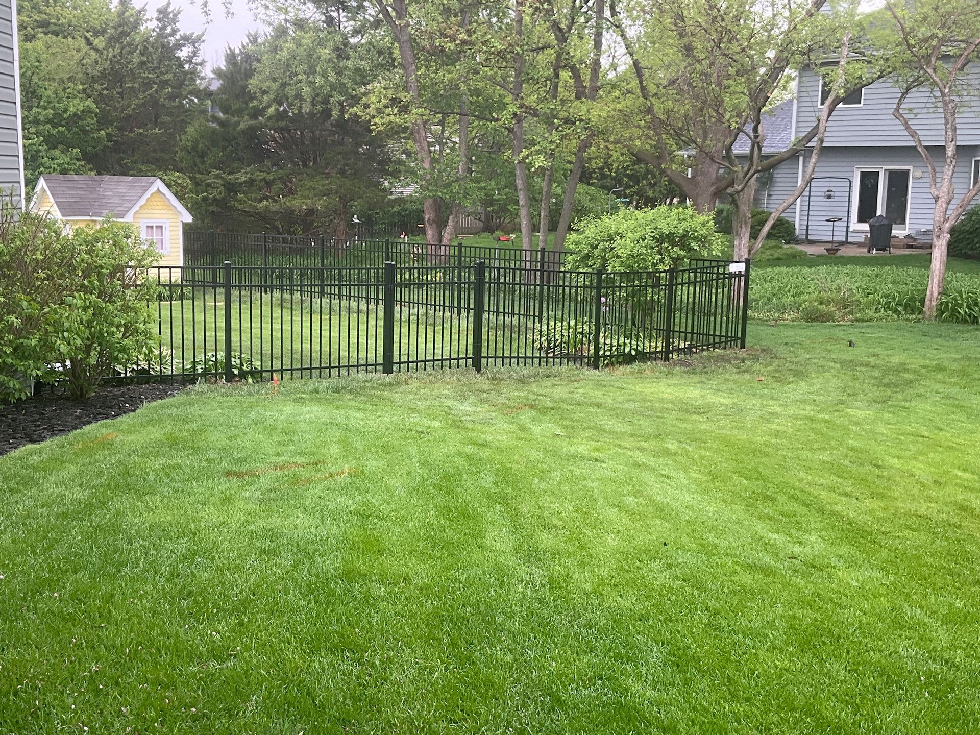 Green backyard with black metal fence surrounding a garden plot and small yellow shed in the background.