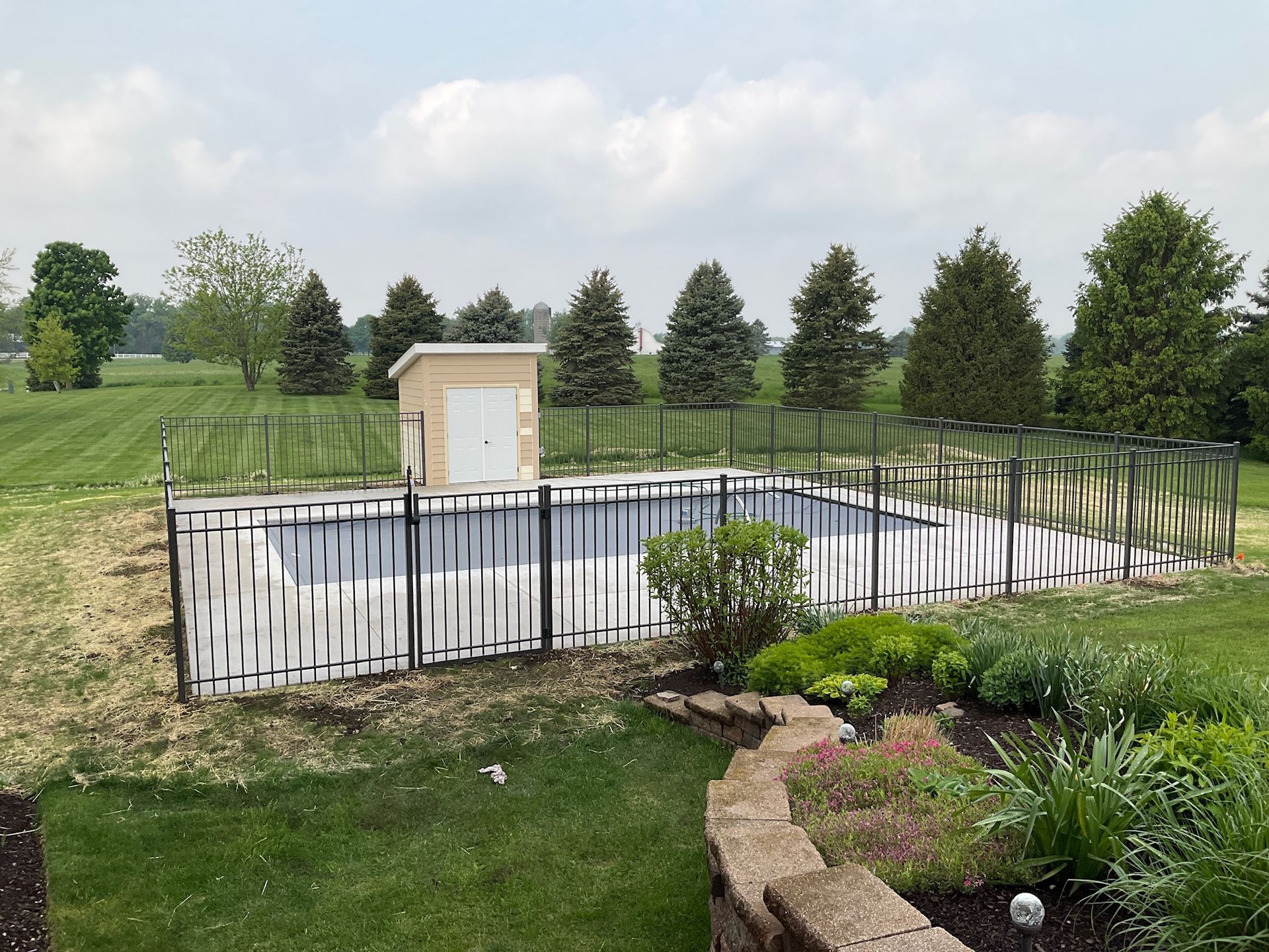 A rectangular swimming pool surrounded by a black and white fence, a small shed, and green grass.