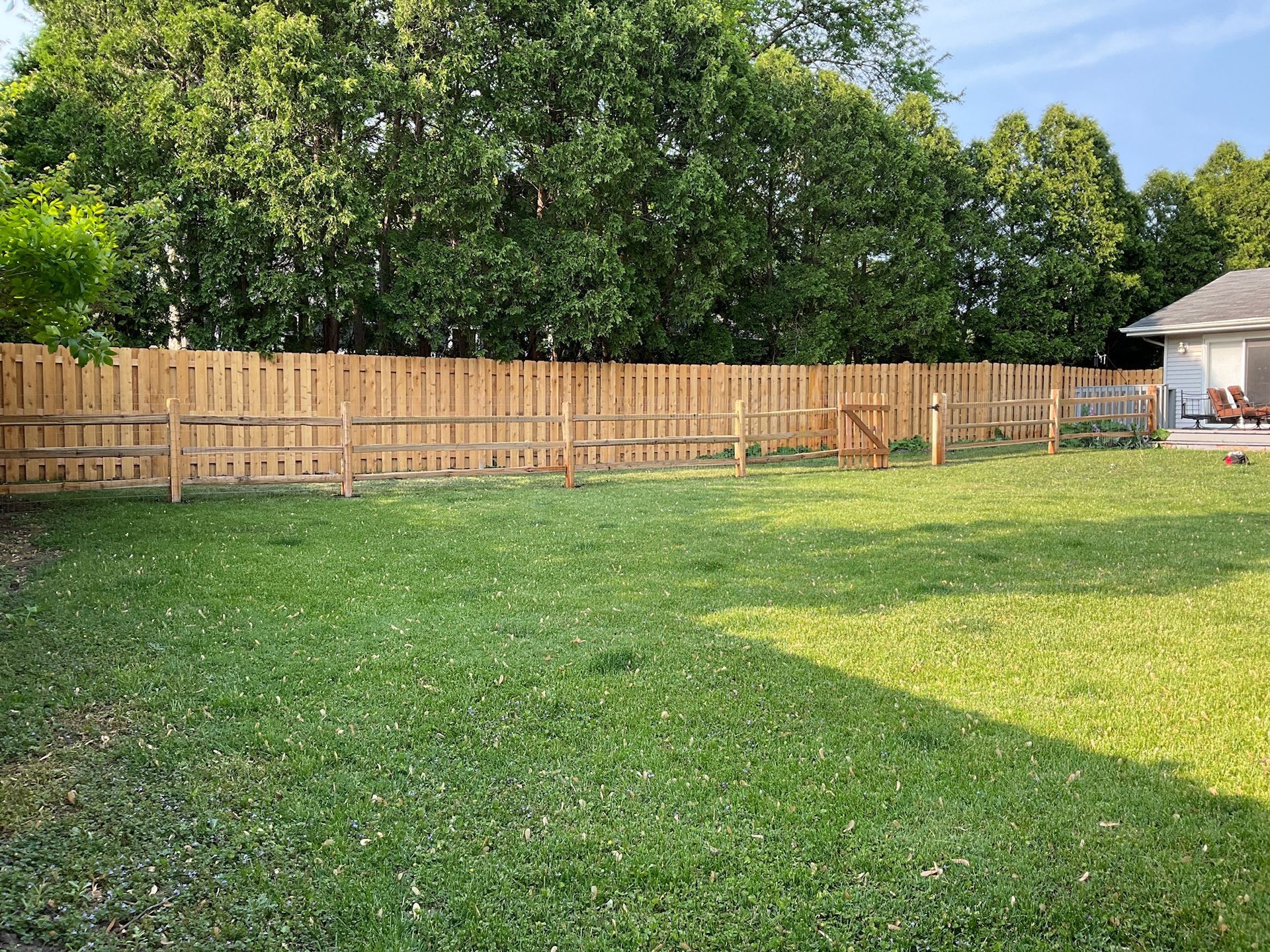 Lush green backyard with a wooden fence. Trees in the background and a house on the right.