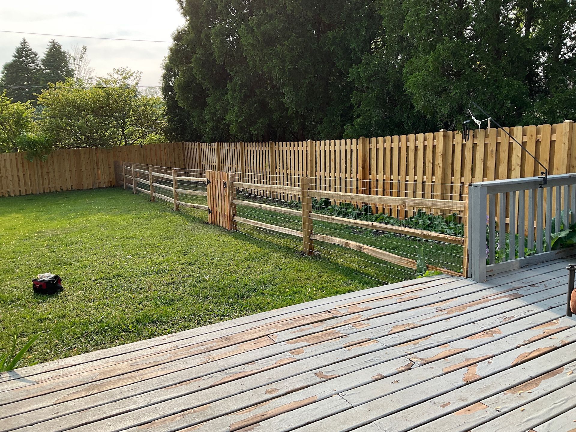 A backyard with a wooden fence and deck. Green grass, trees, and sunlight.