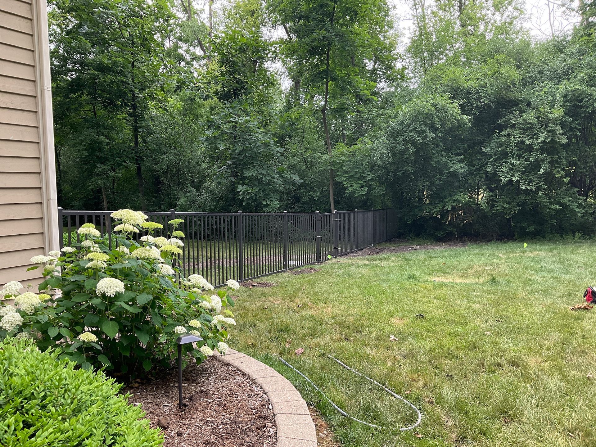 Backyard with grass, shrubs, and a dark metal fence bordering lush greenery; a cloudy sky overhead.