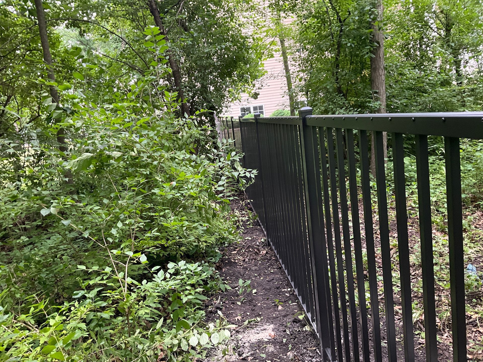 Black metal fence bordering a wooded area, trees and bushes along the edge.