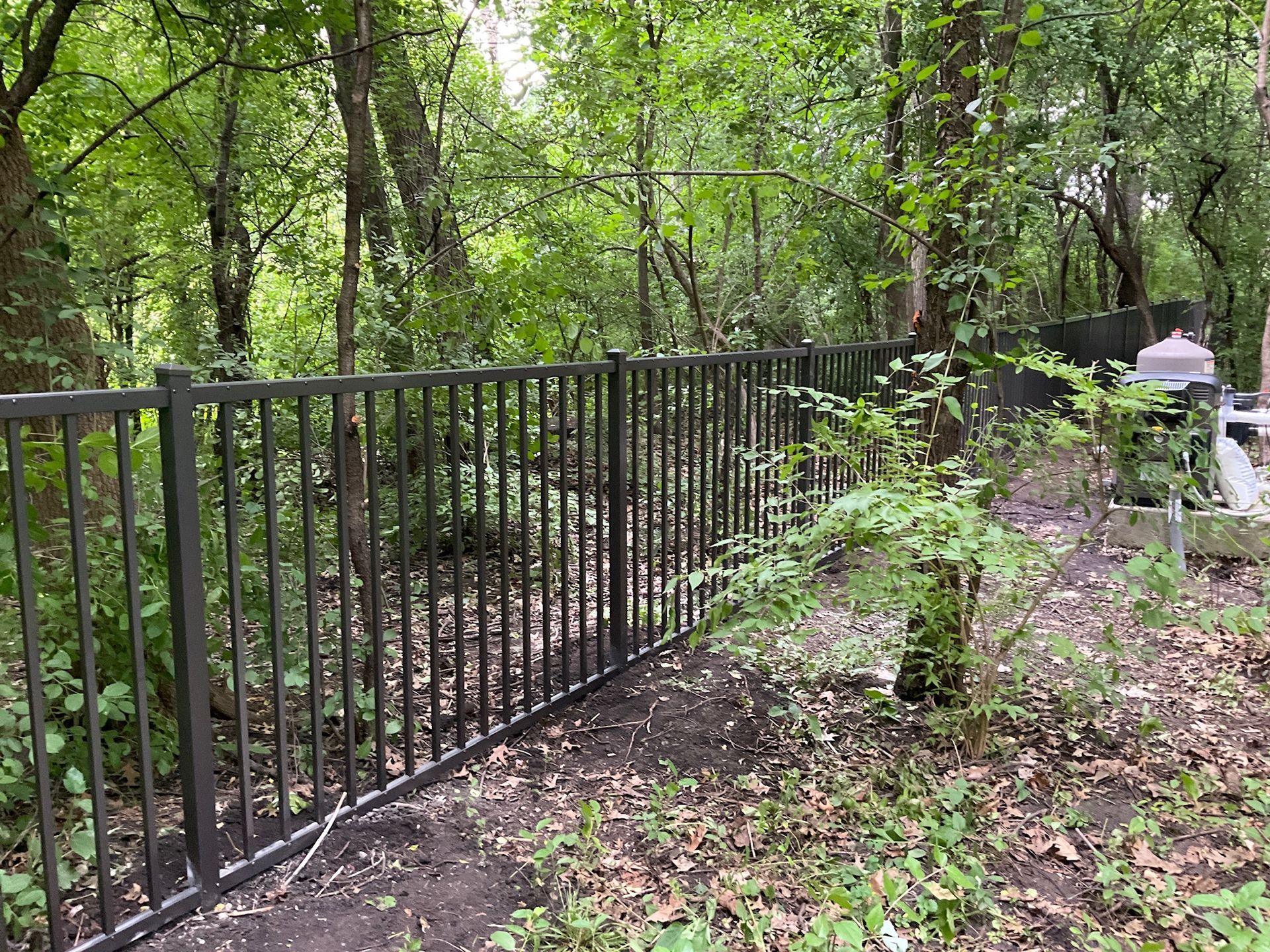 Black metal fence bordering a wooded area with trees and undergrowth.