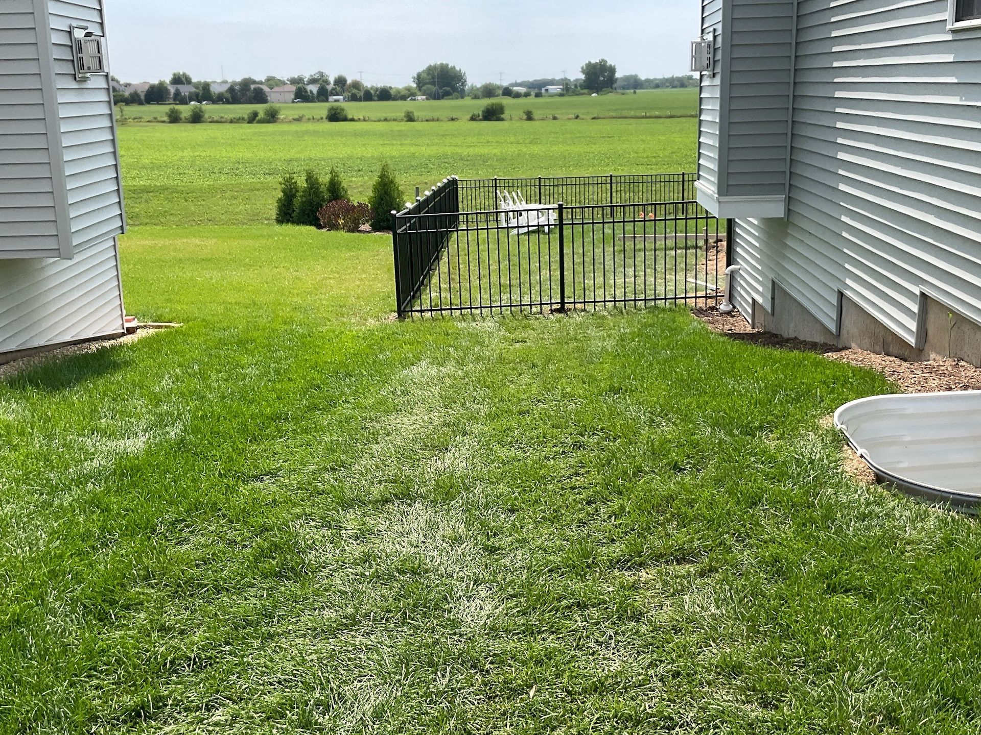 Green grass yard between two white houses, black fence, grill, and field in the background.
