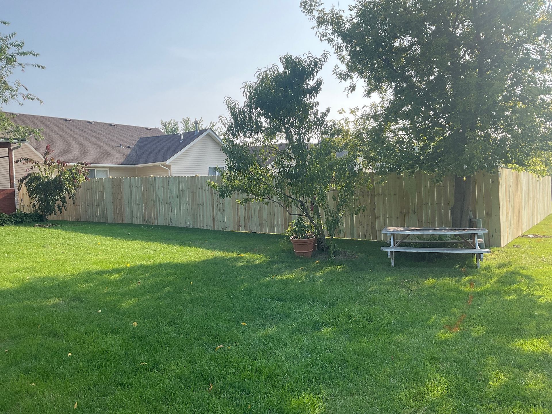 A backyard with a wooden fence, grass, trees, and a bench on a sunny day.