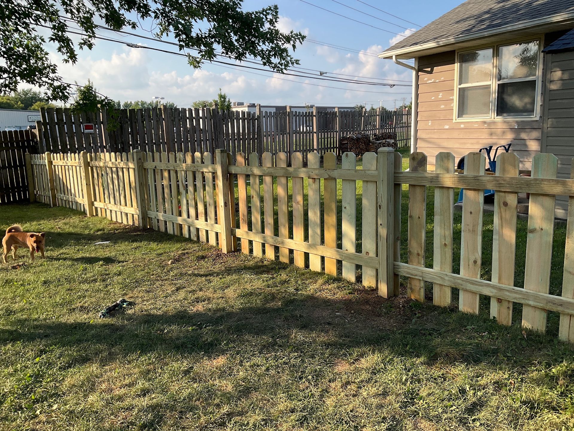 Picket fence encloses a grassy backyard with a small dog. A house is visible beyond the fence.