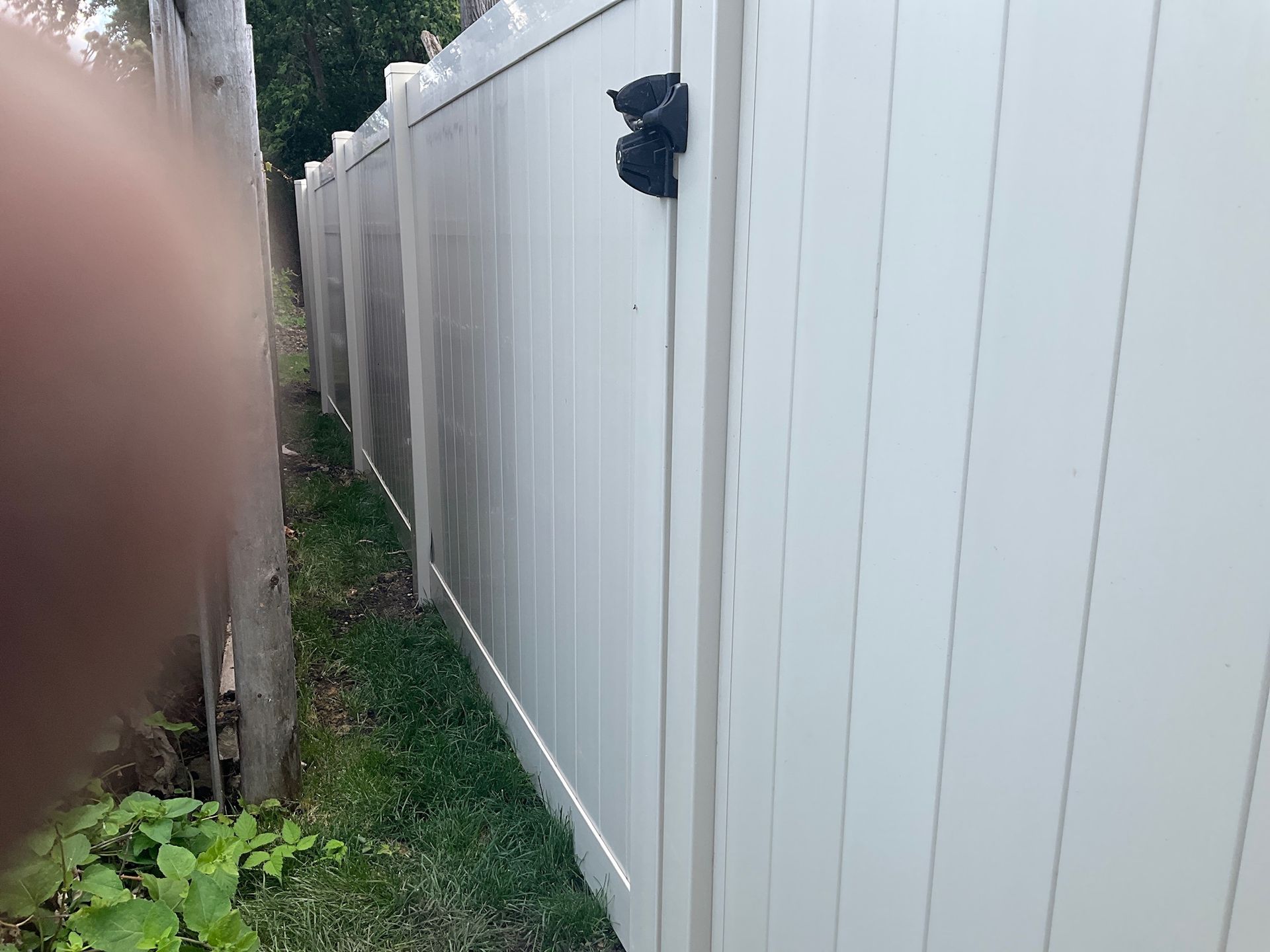 White vinyl fence with black hardware. The fence extends along a grassy area.