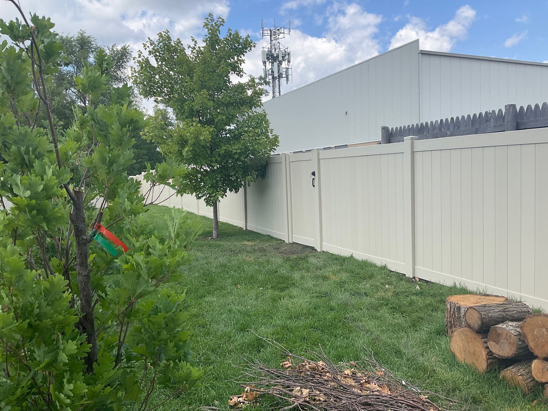 A backyard with a white fence, green grass, and trees. A pile of wood sits on the right.