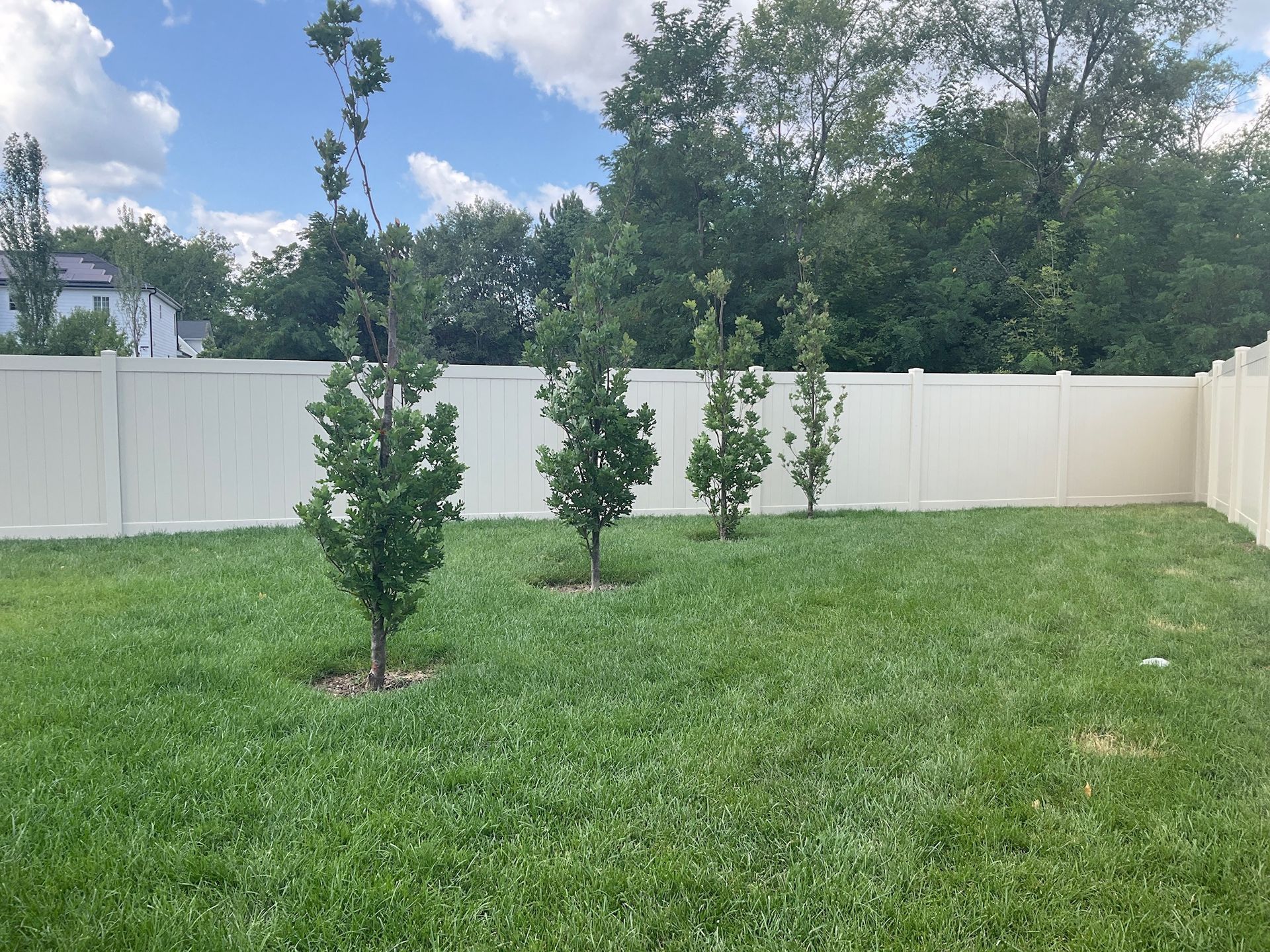 Backyard with beige fence, green grass, and small trees on a sunny day.