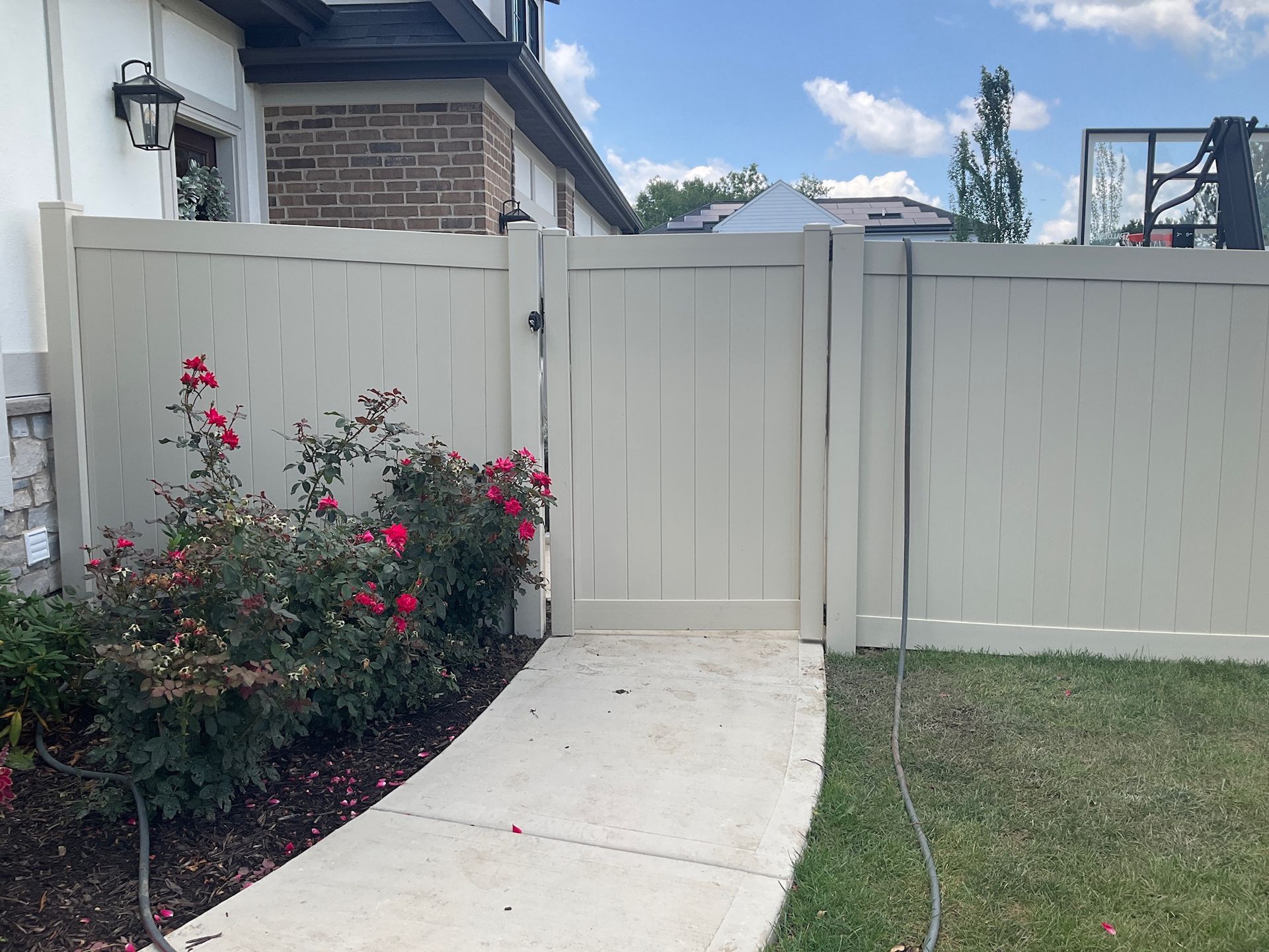 Beige vinyl fence with gate, concrete walkway, and red rose bushes.