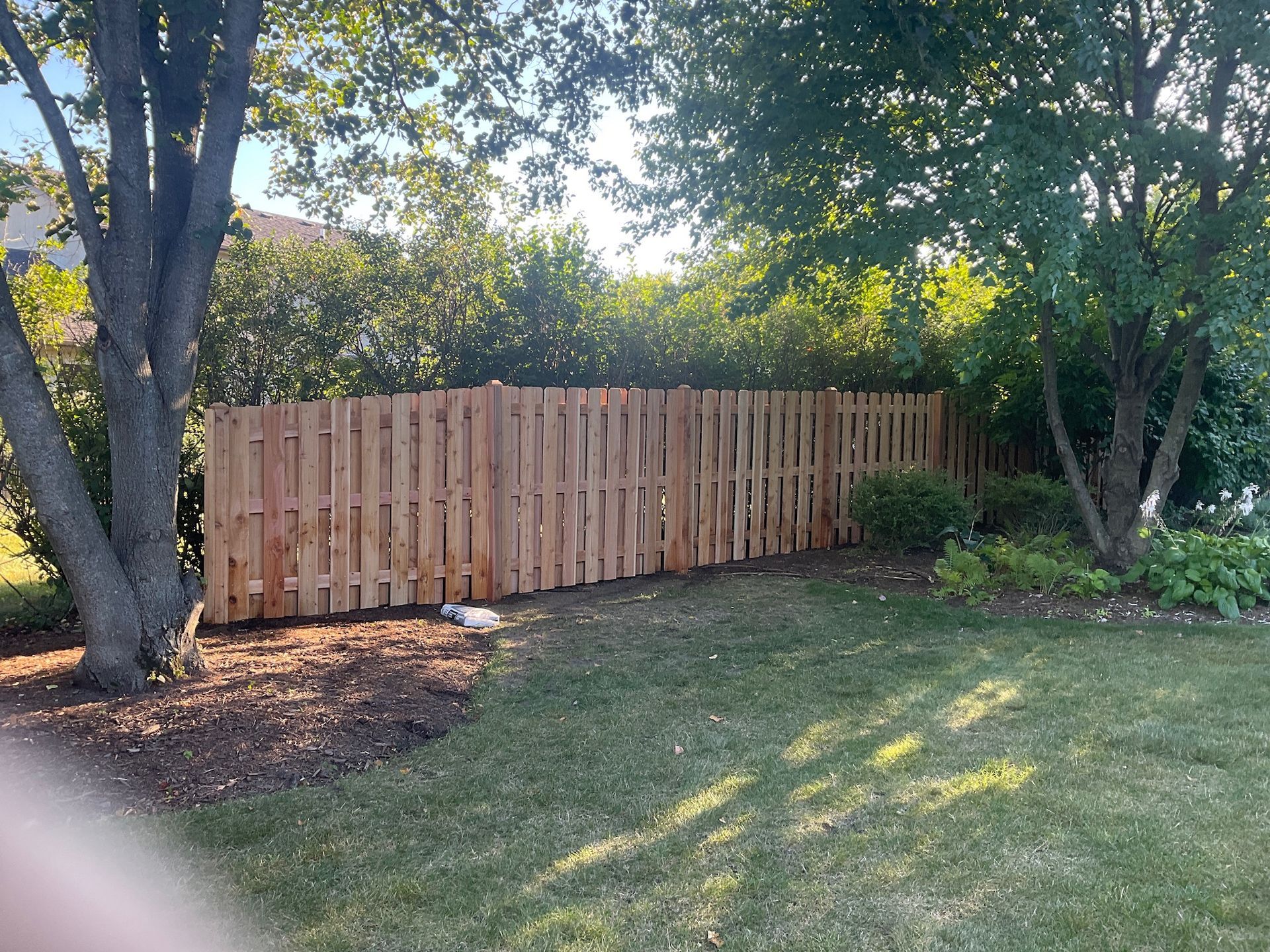 Wooden fence in a backyard between trees, on a sunny day.