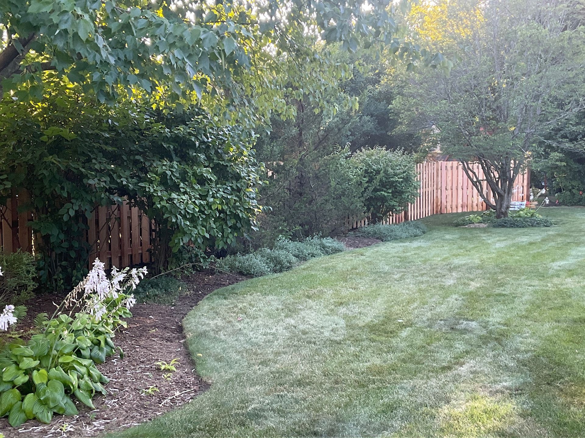 Lawn slopes down to a garden bed with a wooden fence in the background, trees on the right and left, and flowers in the foreground.