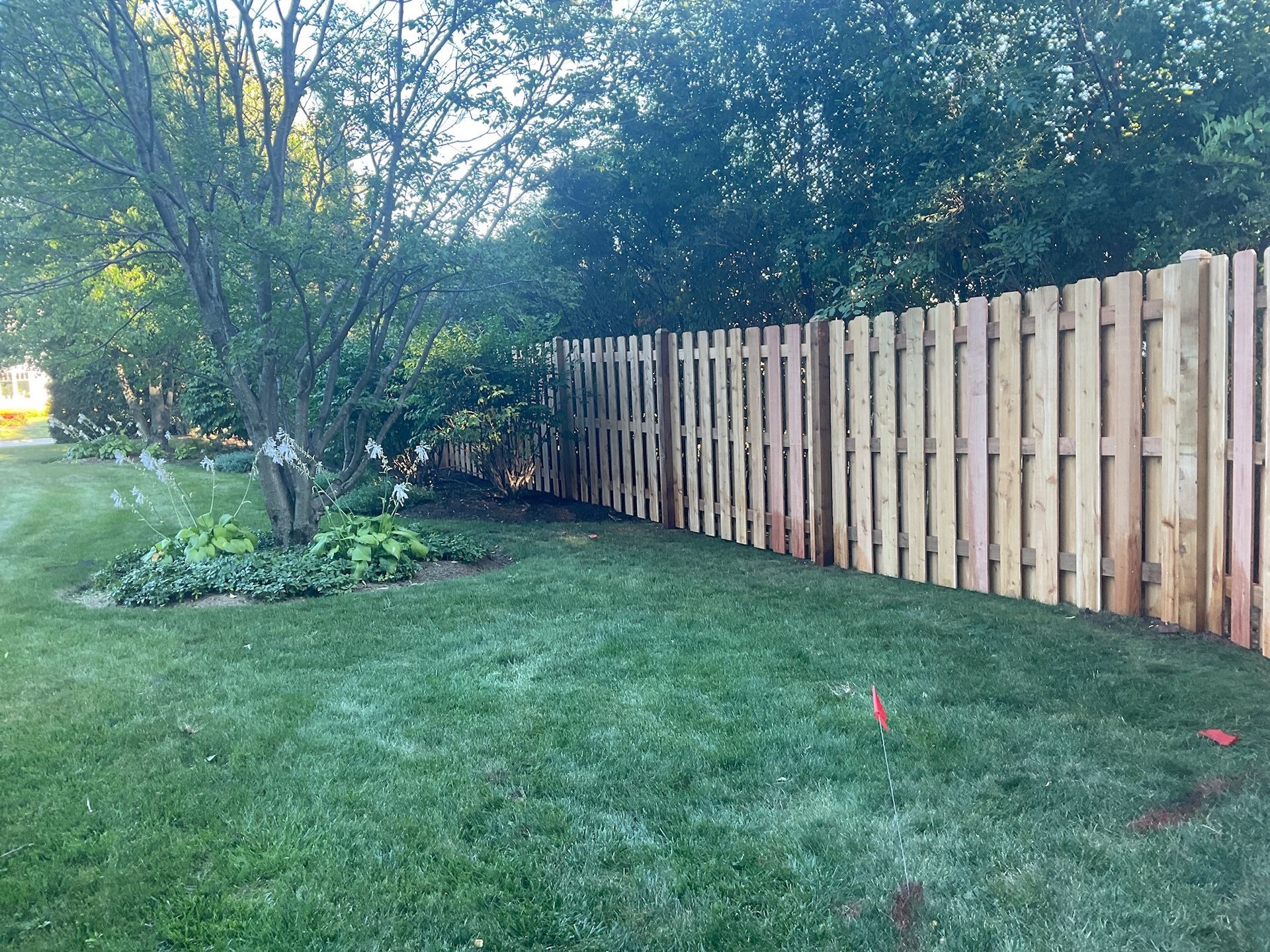 A new wooden fence alongside a grassy yard and some trees.