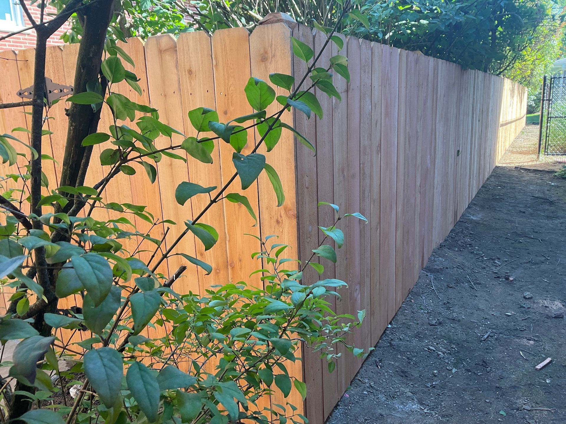 Wooden fence with a path, surrounded by greenery.