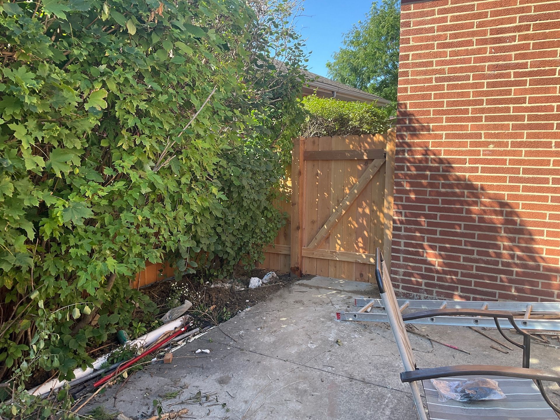 Wooden gate and brick wall adjacent to a dense green hedge on a concrete pathway.