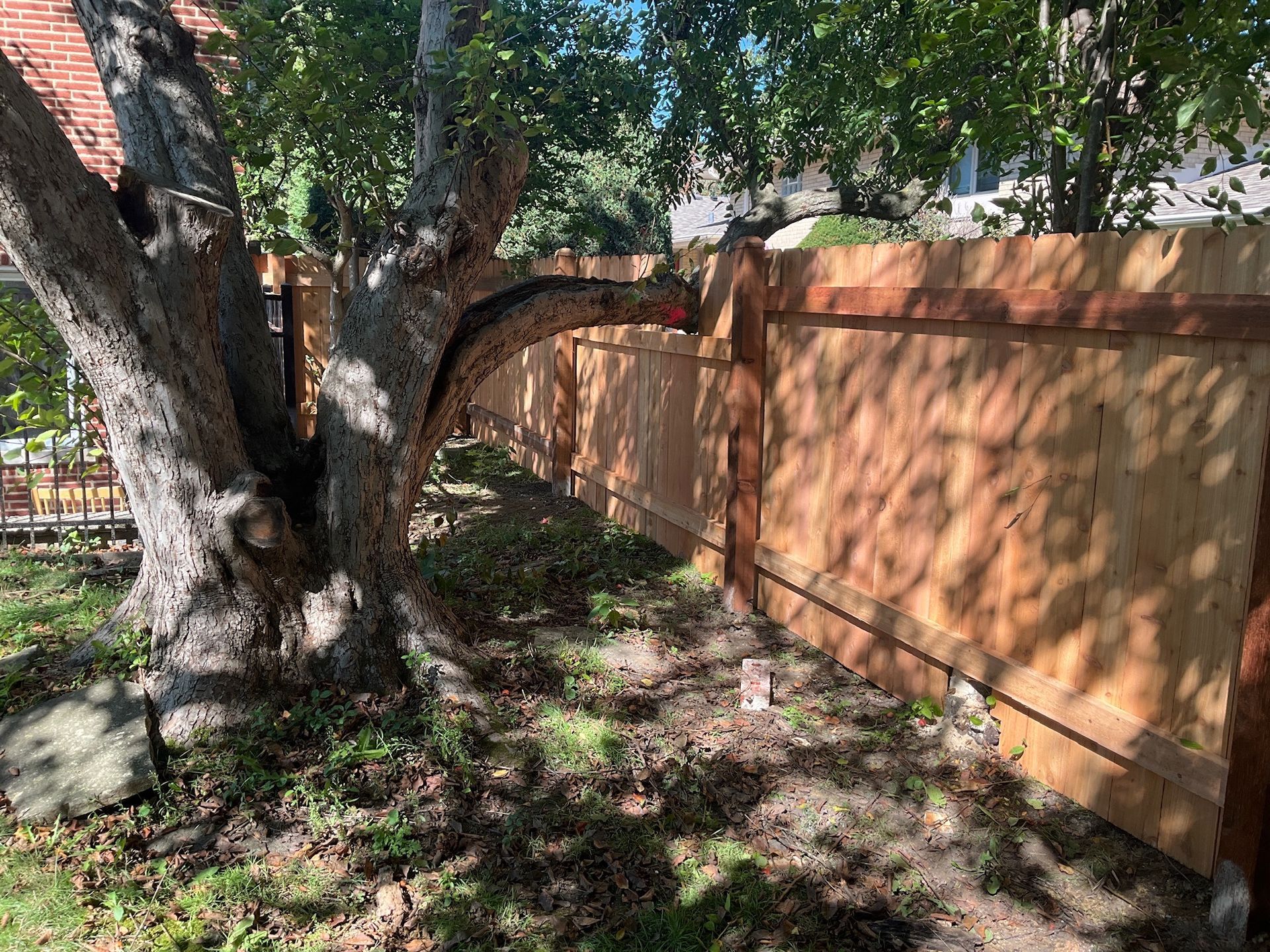 A new wooden fence runs along a yard. A large tree with a curved branch extends over the fence.