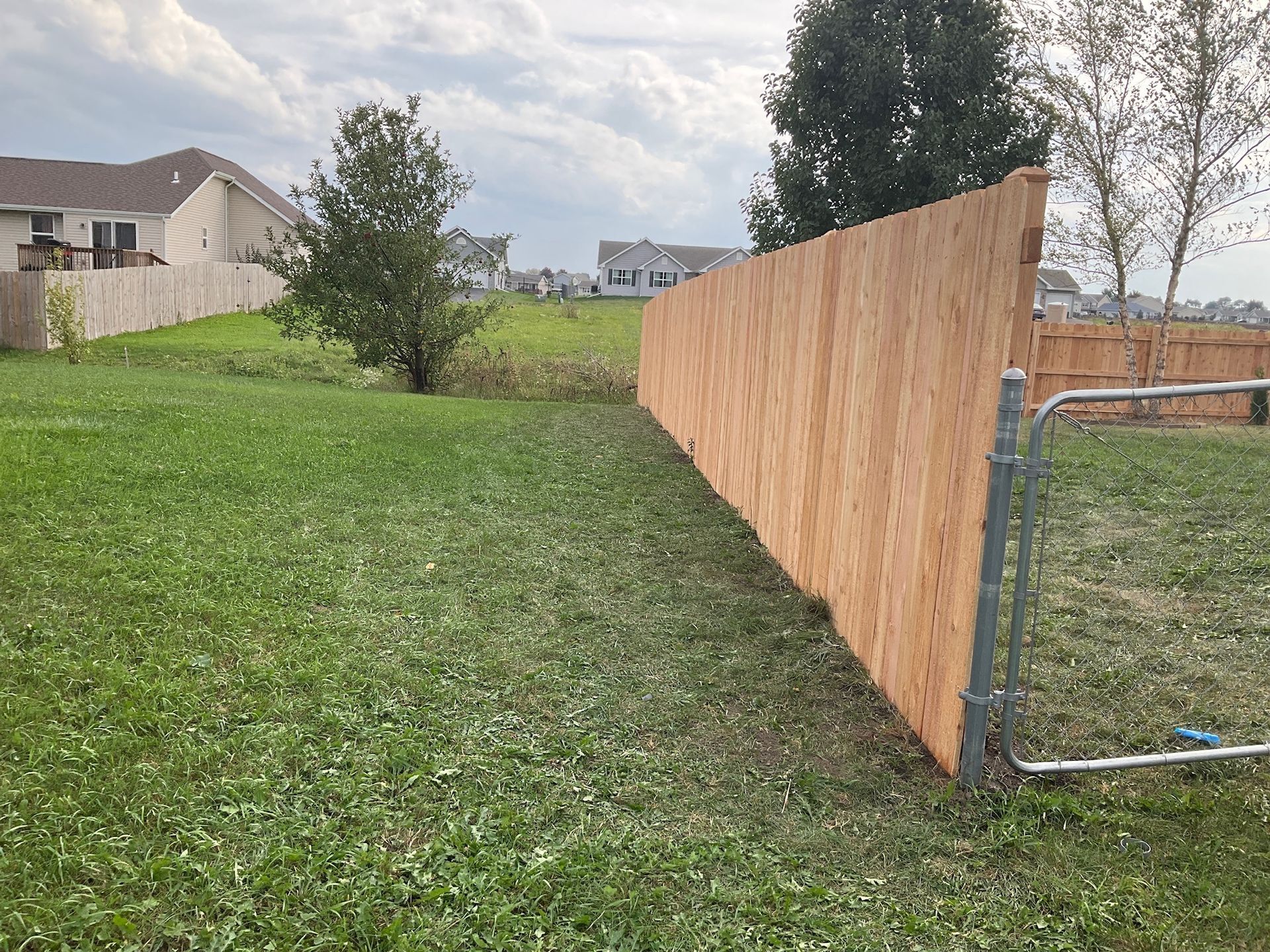 Wooden fence with gate in grassy backyard.
