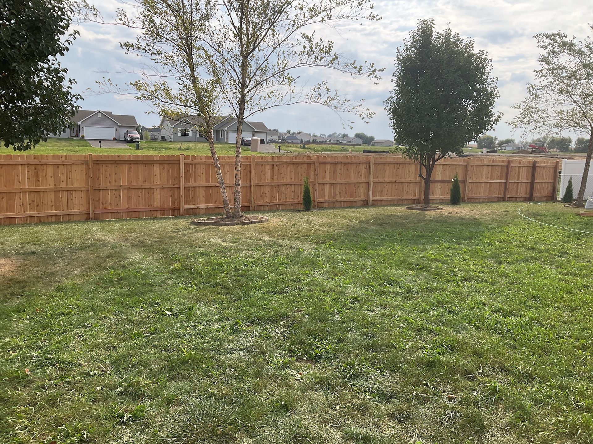 Lawn with a wooden fence. Several trees are planted within the backyard. Houses in background.