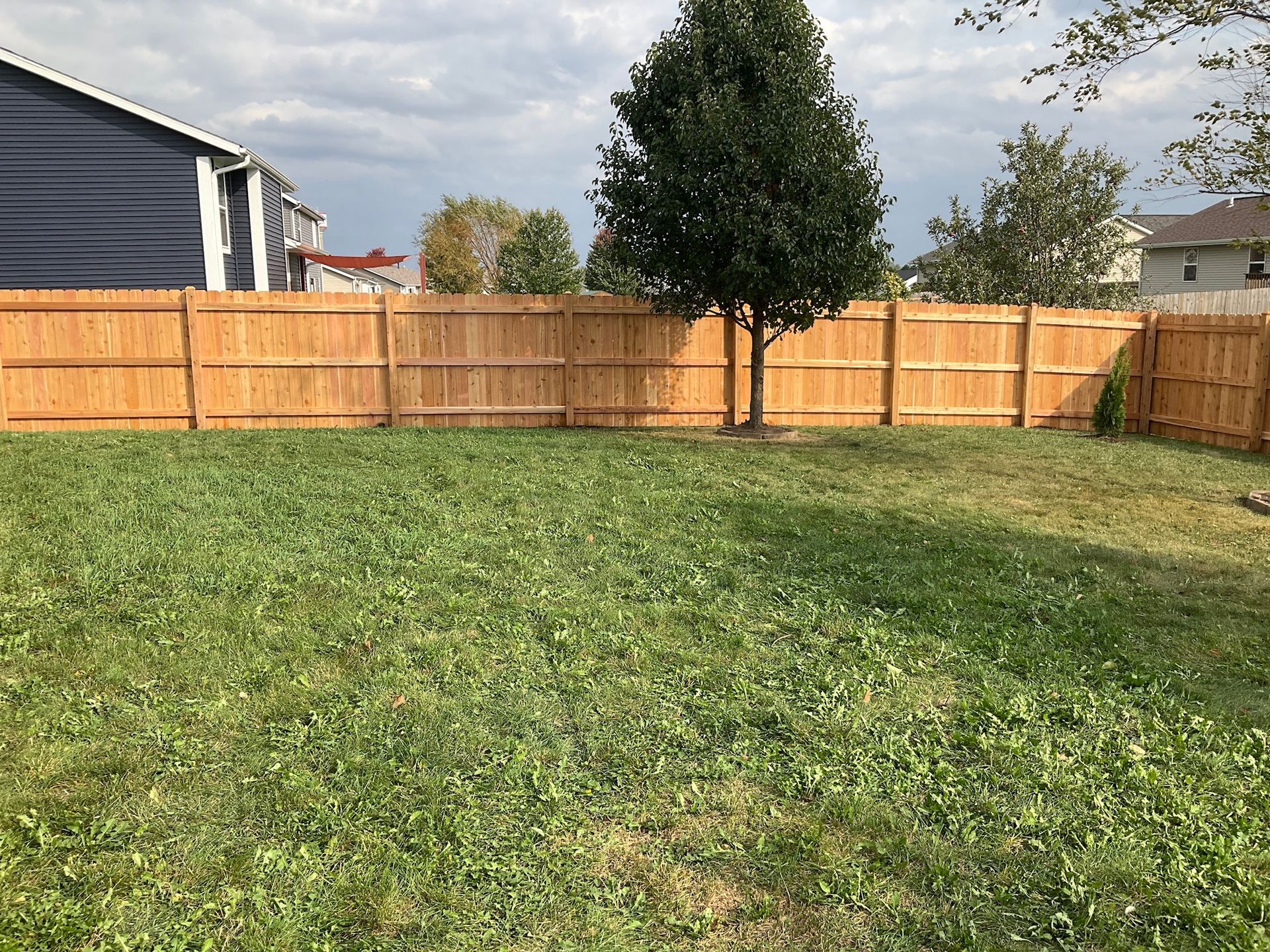 Lawn enclosed by wooden fence, with a tree in the center. Overcast sky.