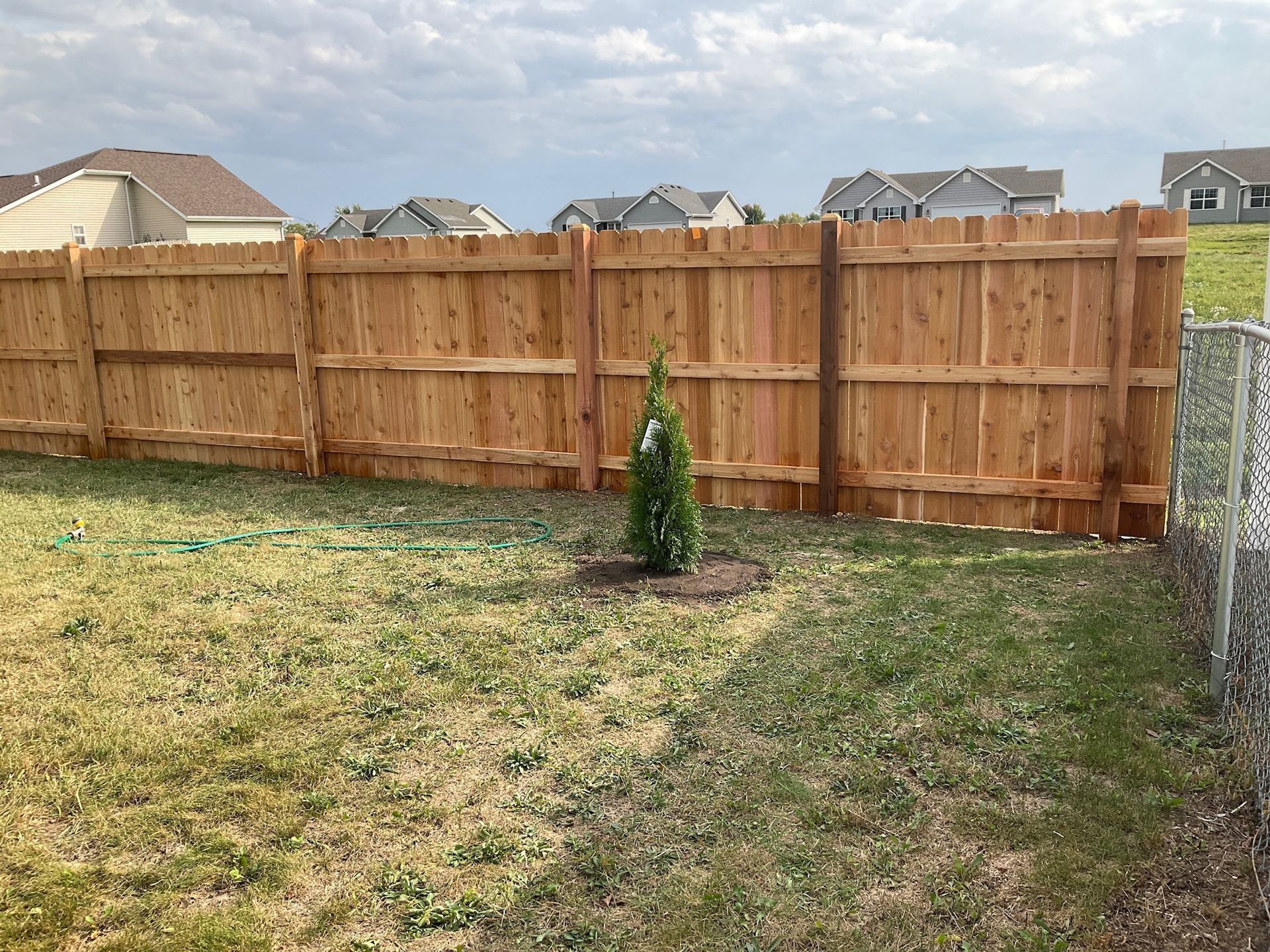 Wooden fence in a backyard with a small tree. Houses and cloudy sky in the background.