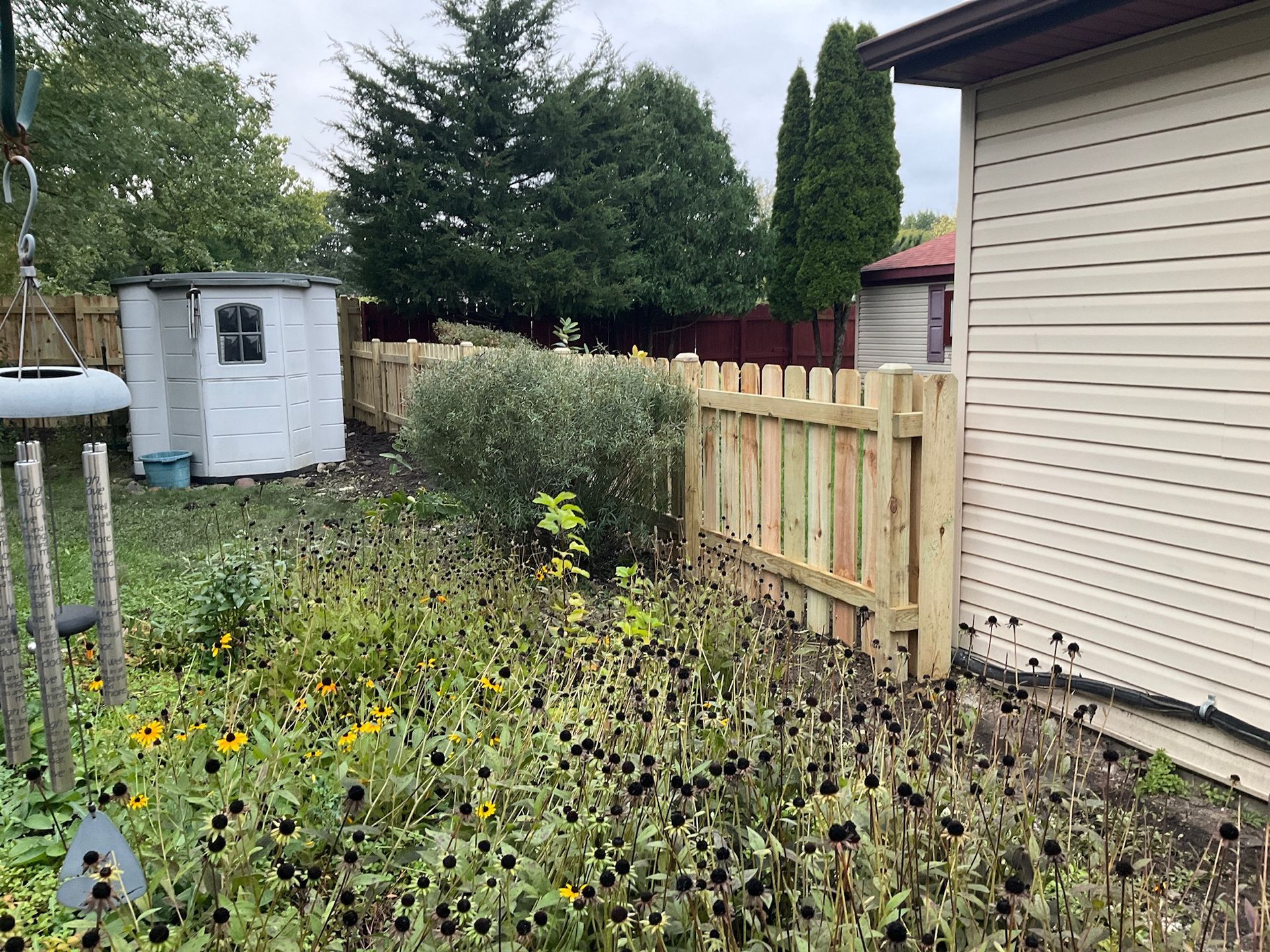 Backyard with new wooden fence, overgrown garden, shed, and house with beige siding.