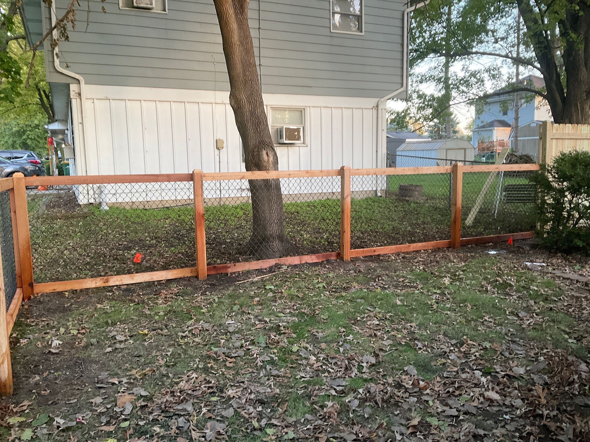 Wooden fence with wire mesh in a backyard, tree in the middle, leaves on ground, house in the background.