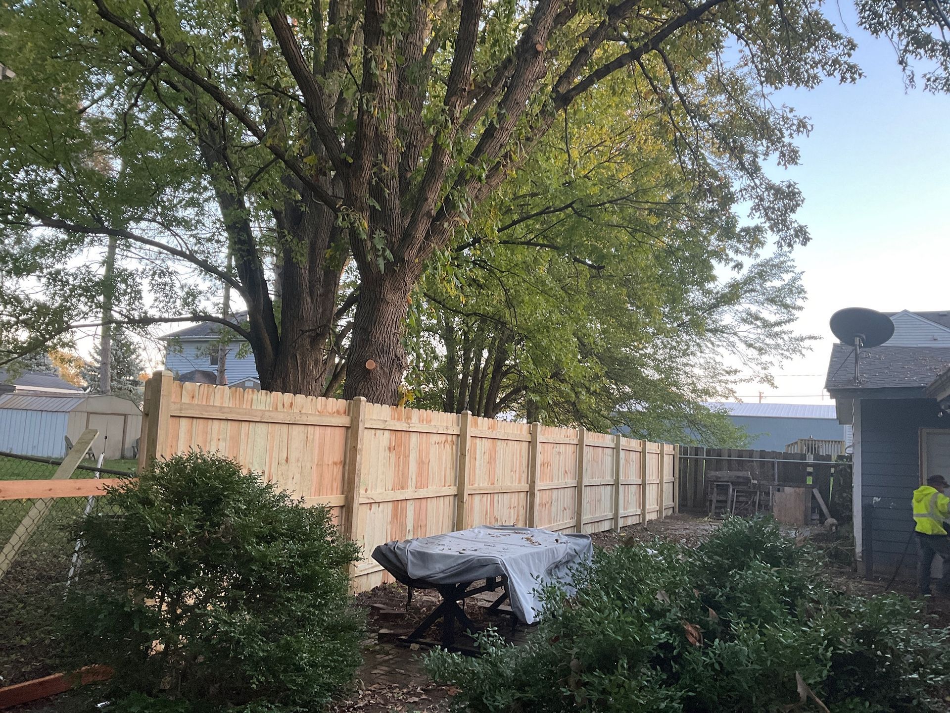 Wooden fence next to a large tree, yard with bushes and tarp-covered table, home on the right.