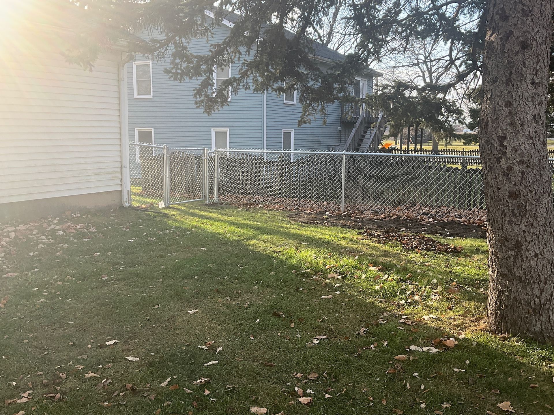A chain-link fence encloses a backyard with a grassy lawn, near a two-story house and a tree.