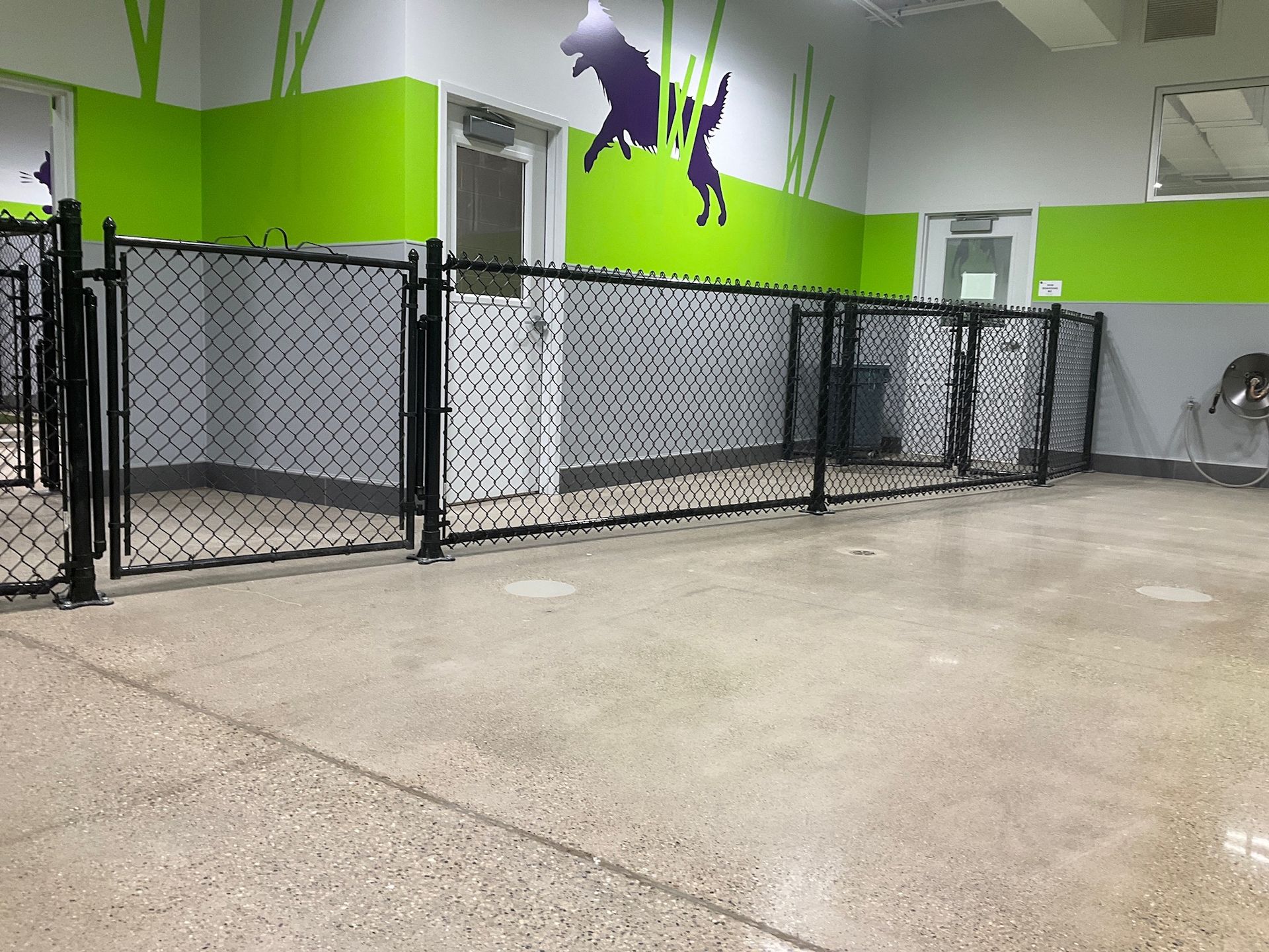 Dog kennels inside a room, with chain-link fences and concrete flooring. Lime green and white walls, with dog silhouette art.