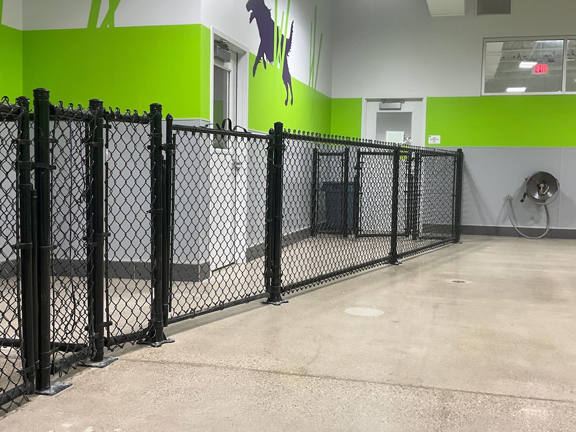 Black chain link fence encloses dog play area with green and purple wall art.