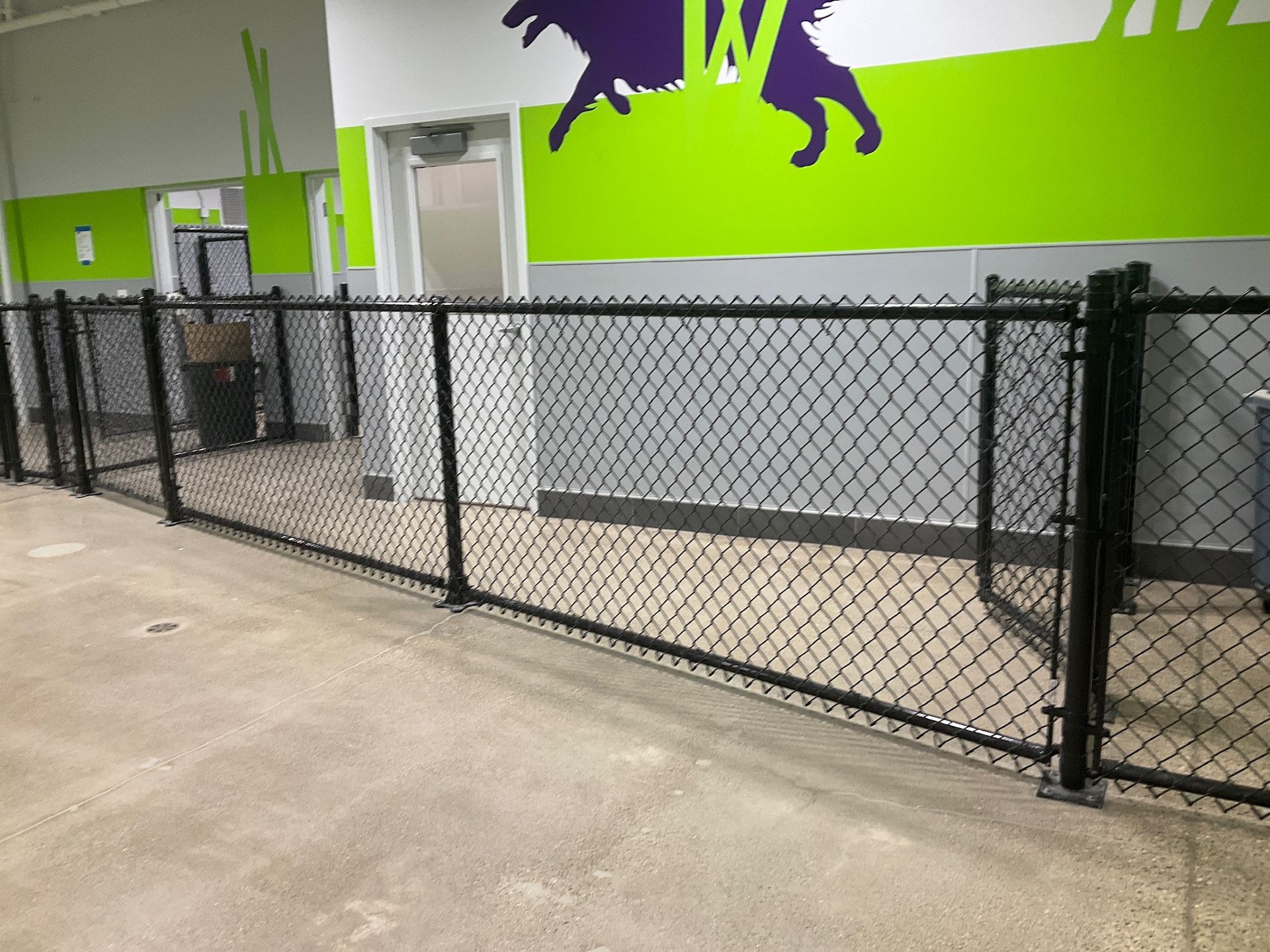 Black chain-link fence inside a dog park, green and purple wall art above.