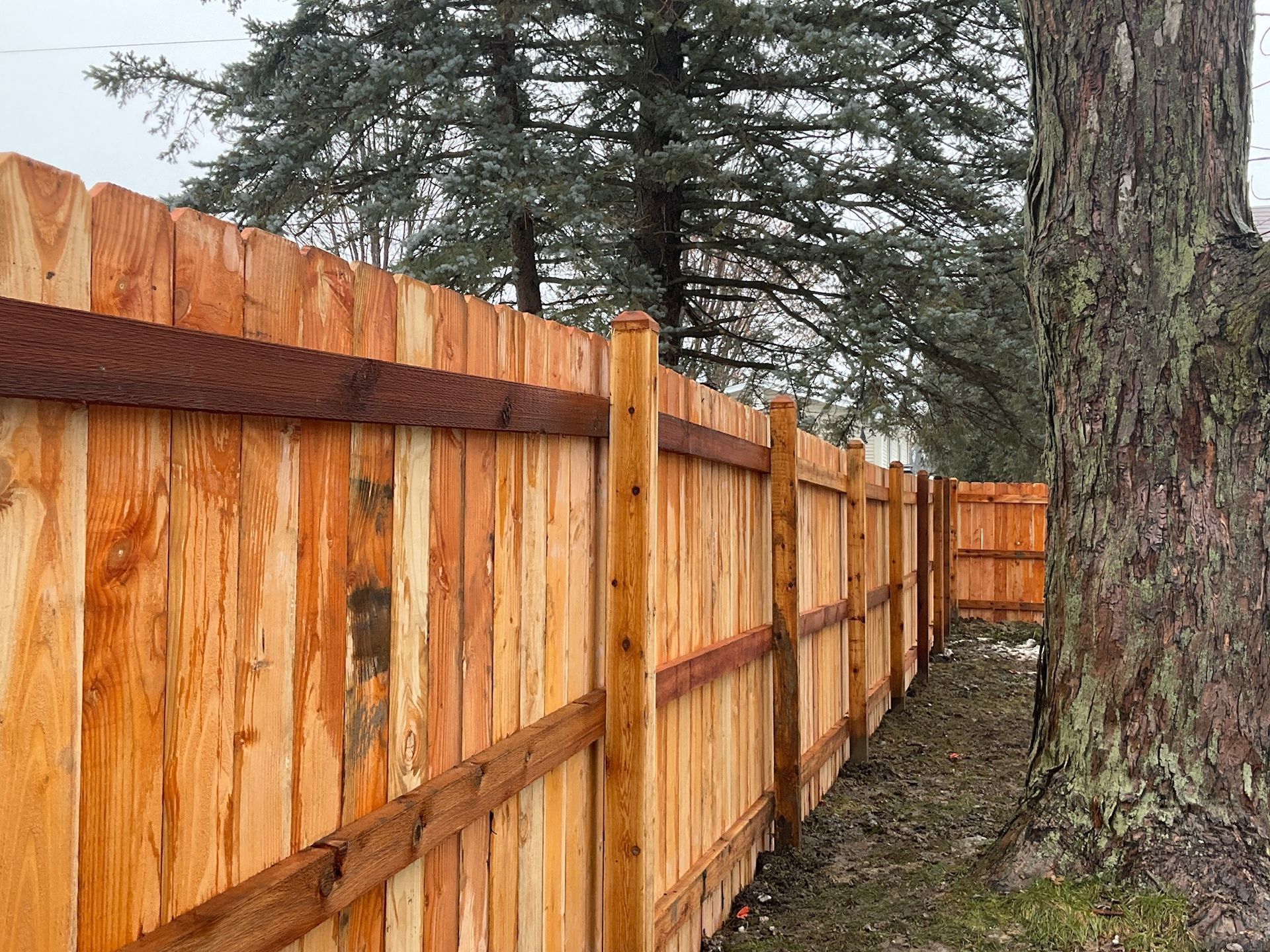 Wooden fence alongside a tree; natural wood with dark metal accents, overcast day.