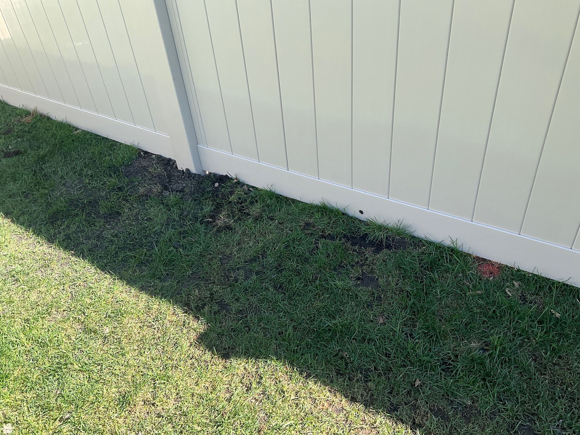 Green grass beside a beige fence with a dark patch of earth at the base.